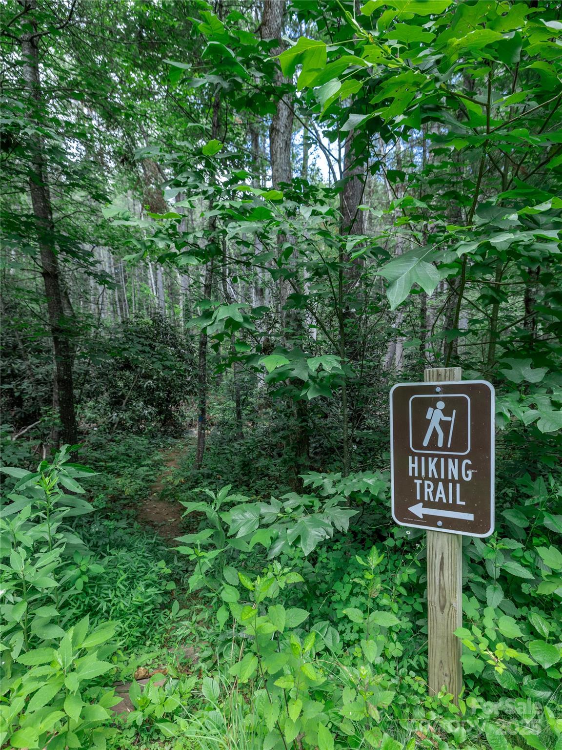 52 Trail Top Drive Property Photo 17