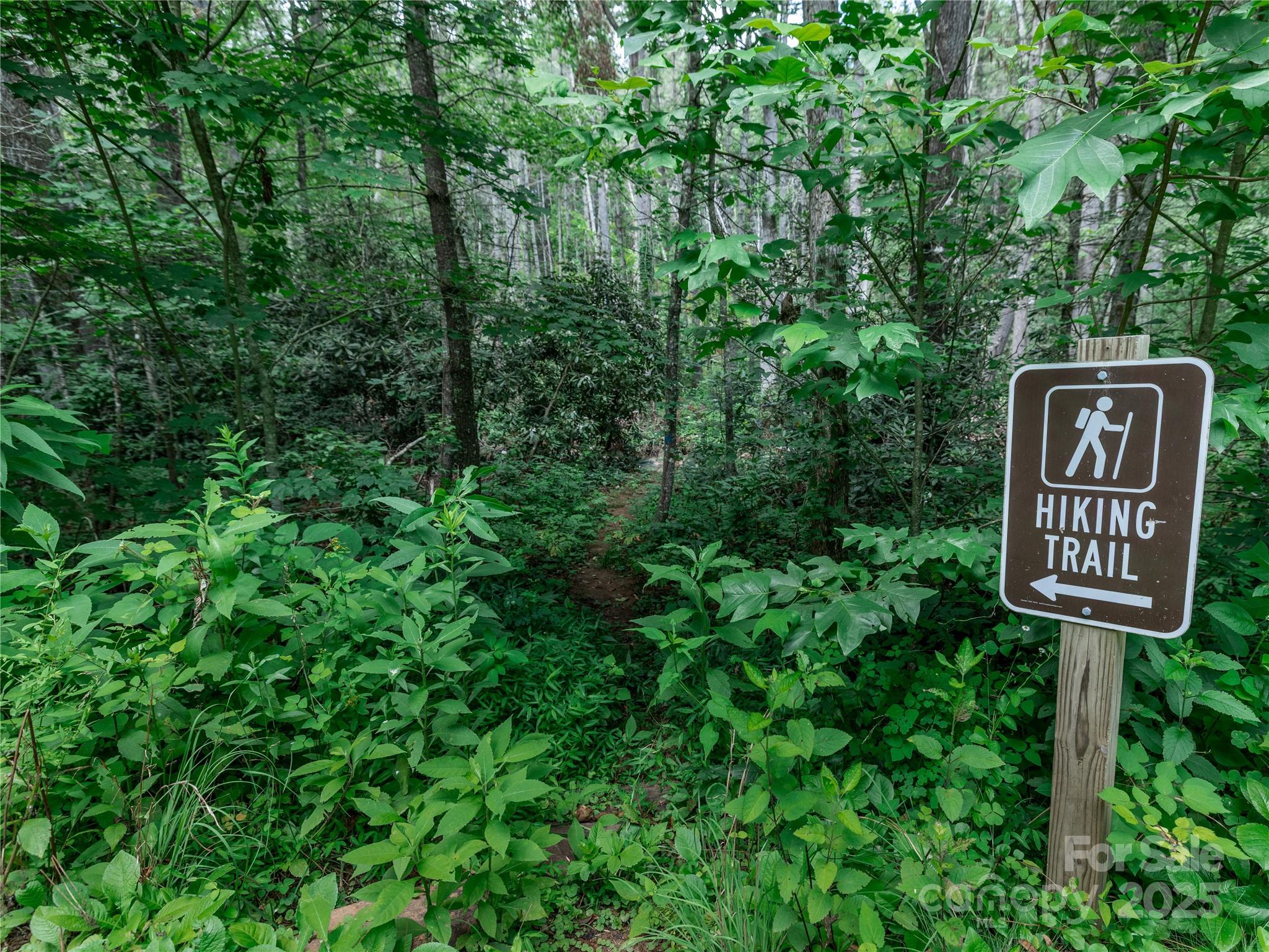 52 Trail Top Drive Property Photo 18
