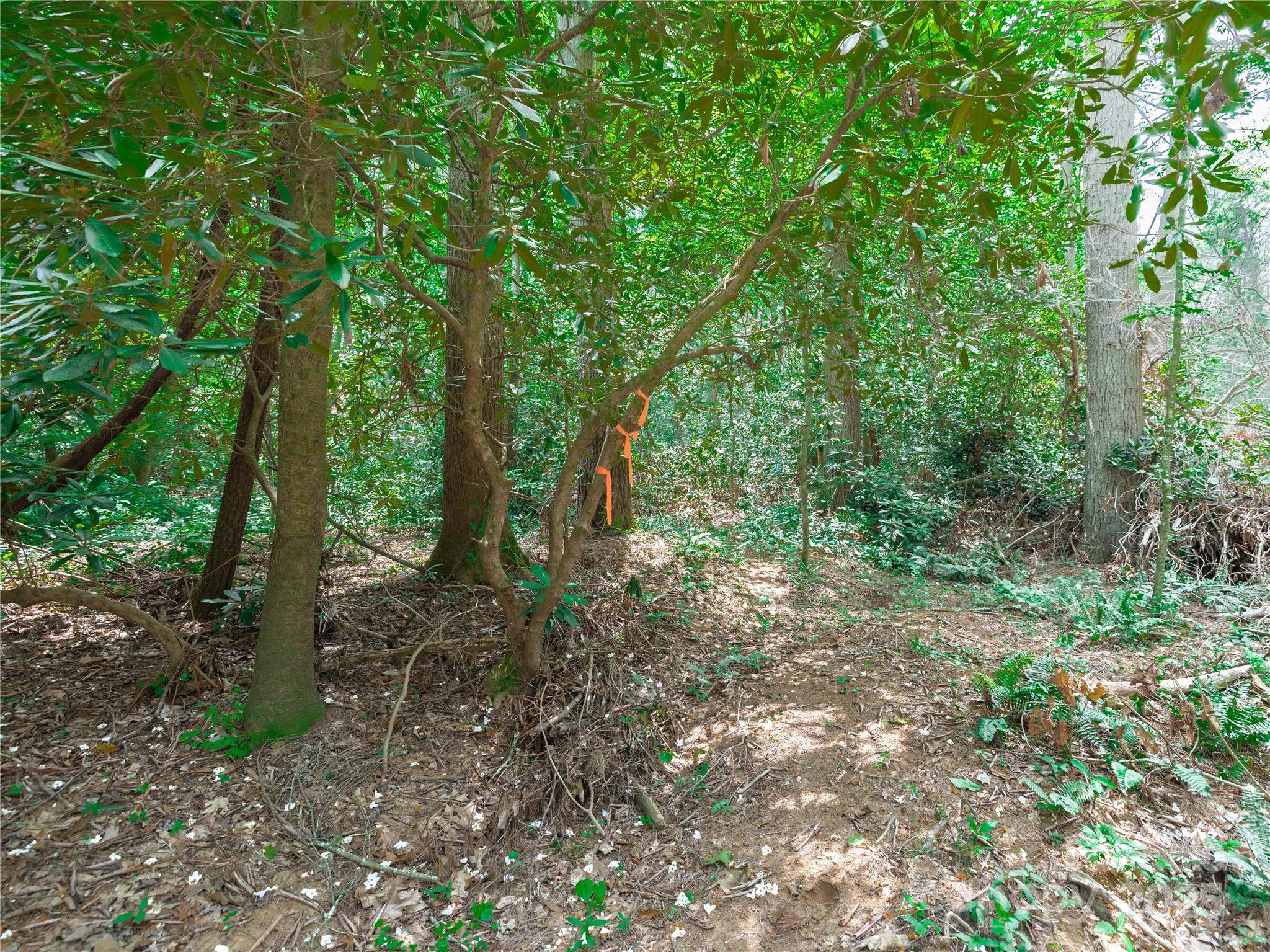 52 Trail Top Drive Property Photo 20