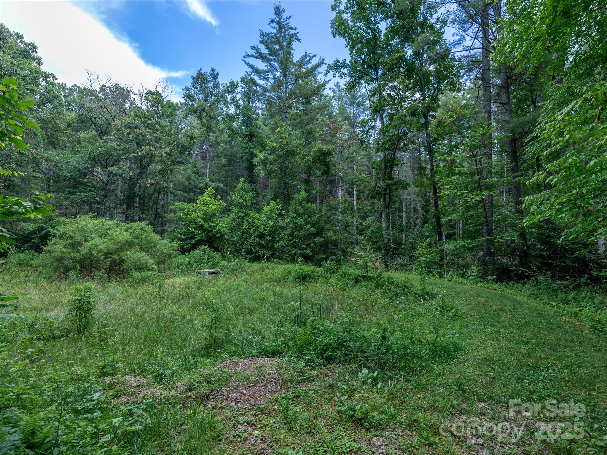 52 Trail Top Drive Property Photo 21