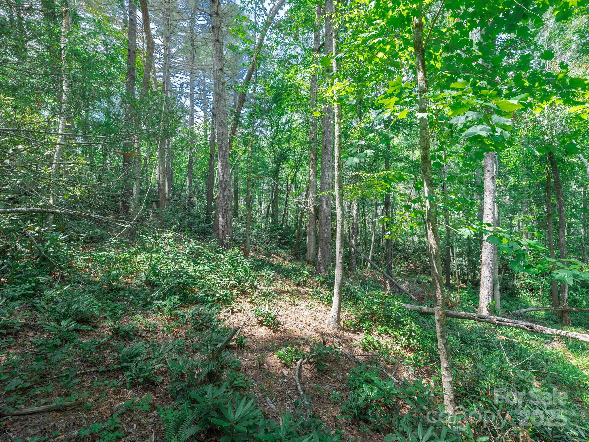 52 Trail Top Drive Property Photo 22