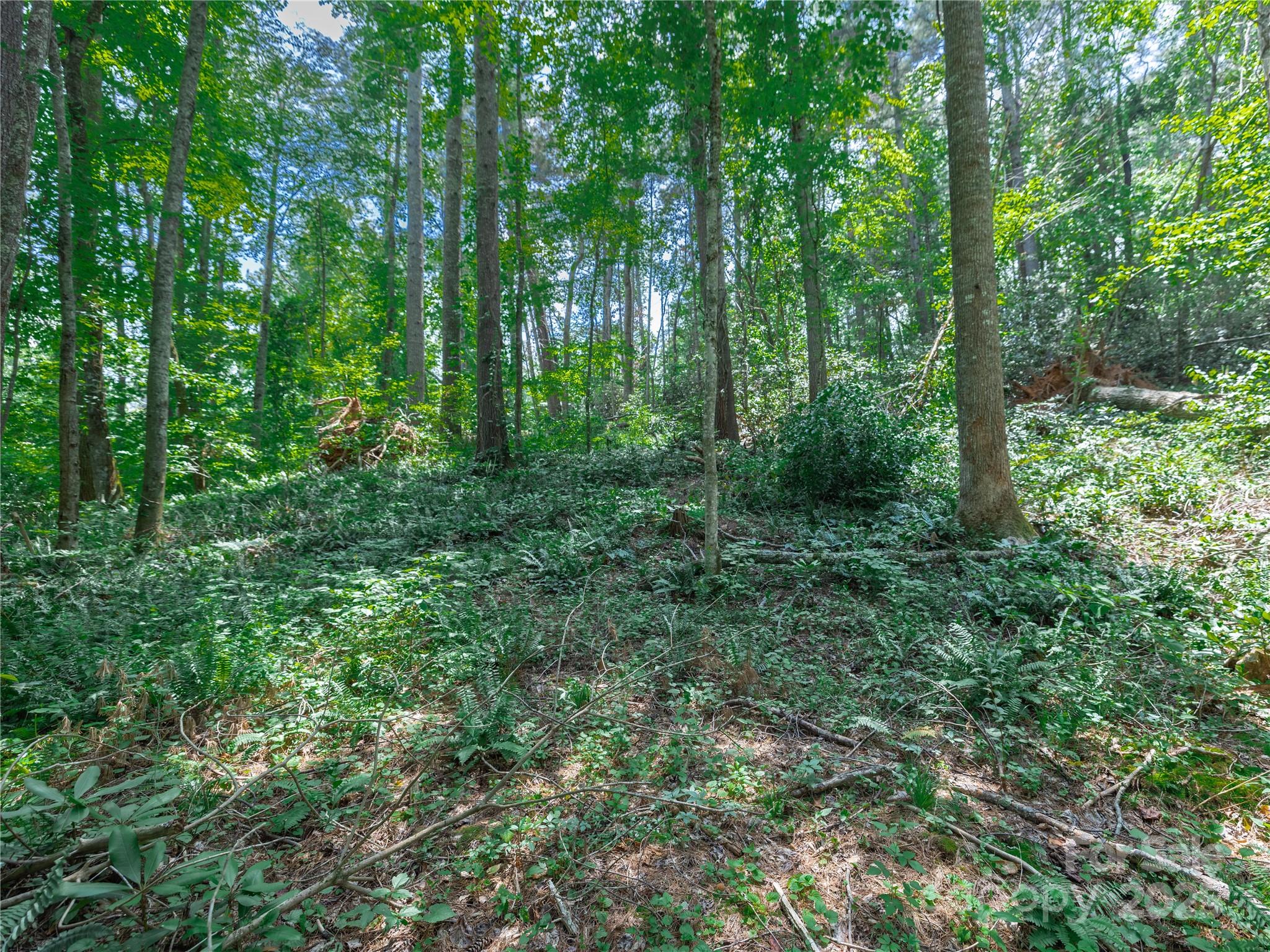 52 Trail Top Drive Property Photo 23