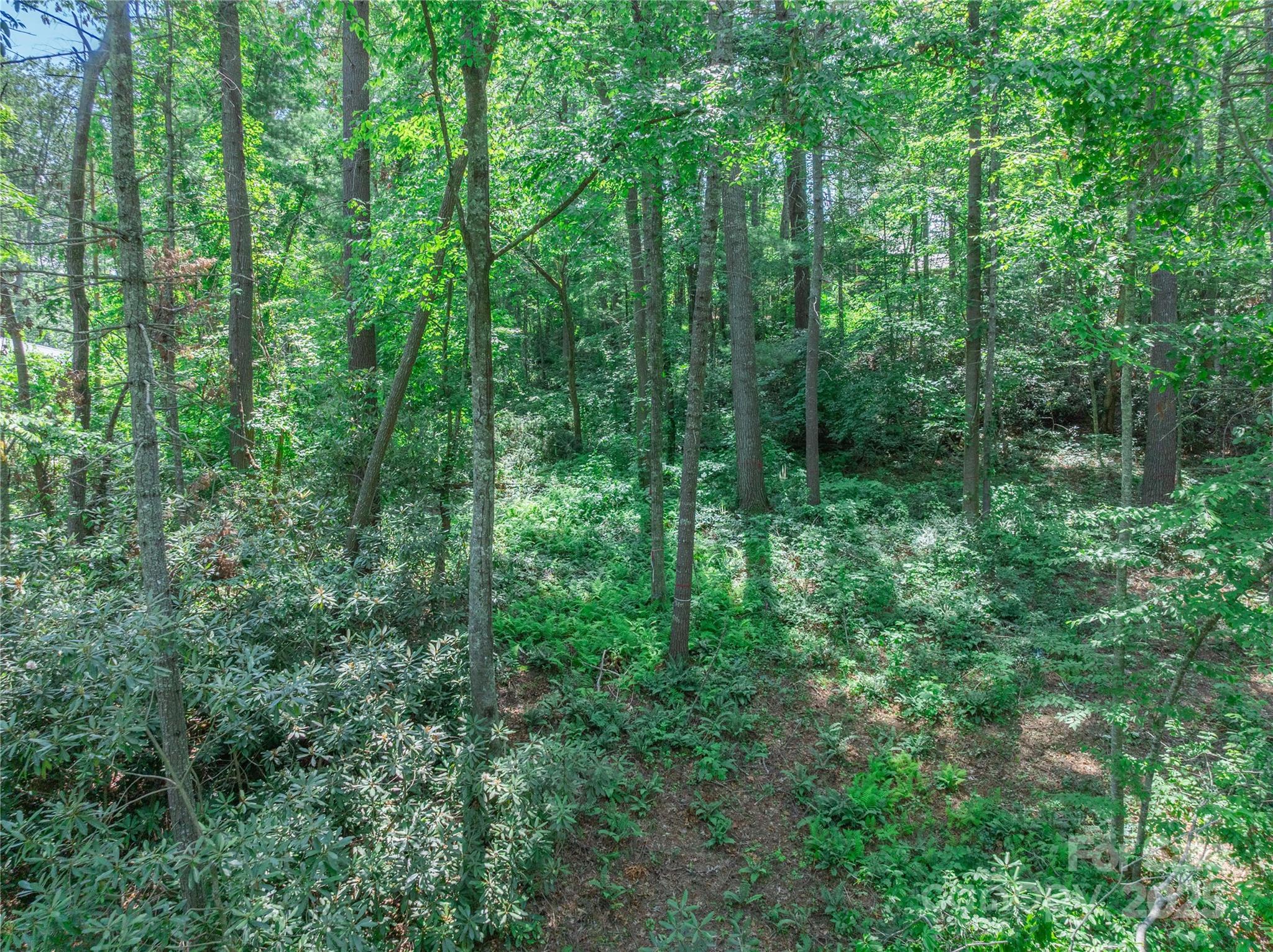 52 Trail Top Drive Property Photo 25