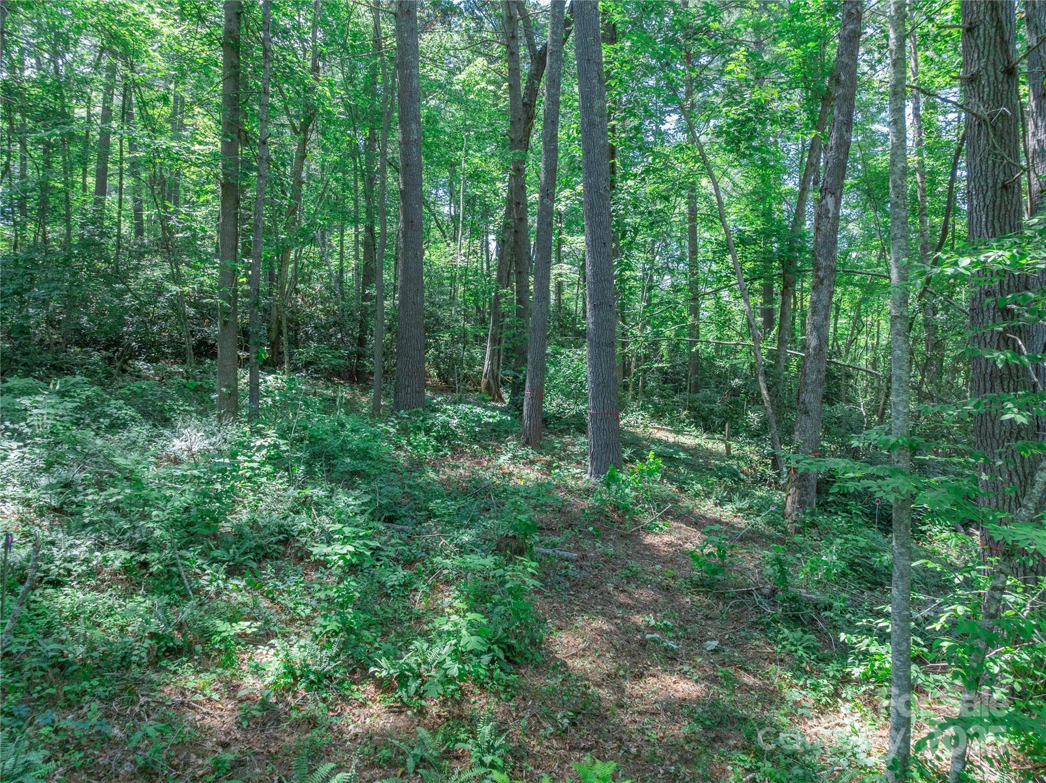 52 Trail Top Drive Property Photo 26