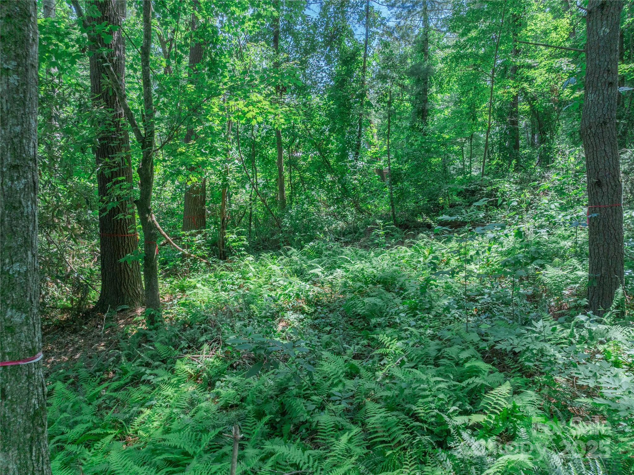 52 Trail Top Drive Property Photo 27