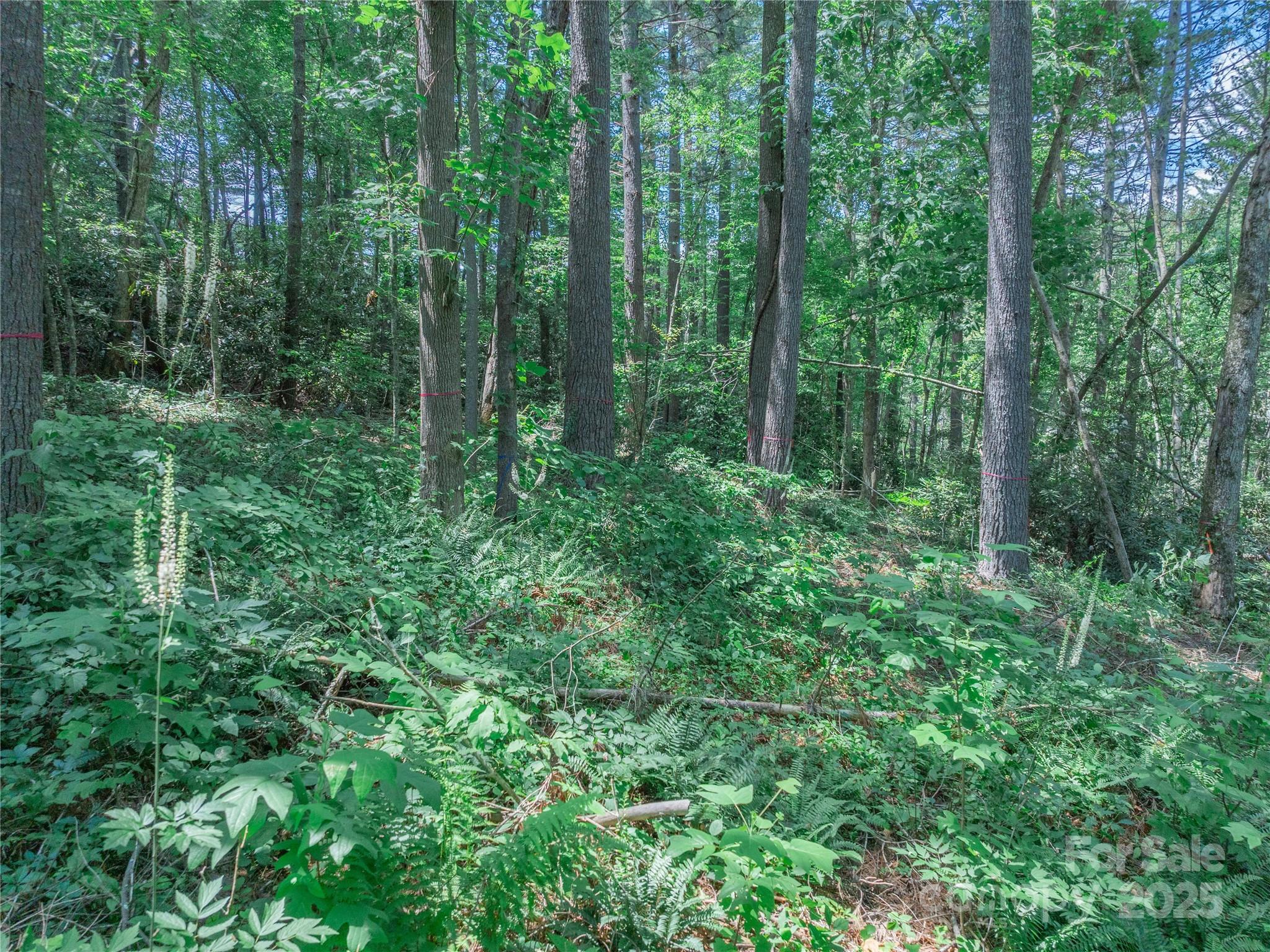 52 Trail Top Drive Property Photo 28