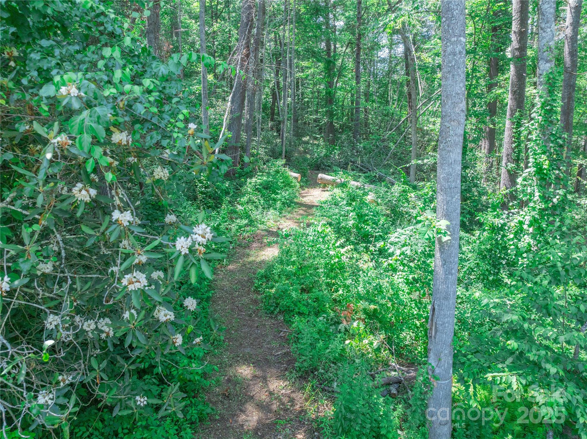 52 Trail Top Drive Property Photo 32
