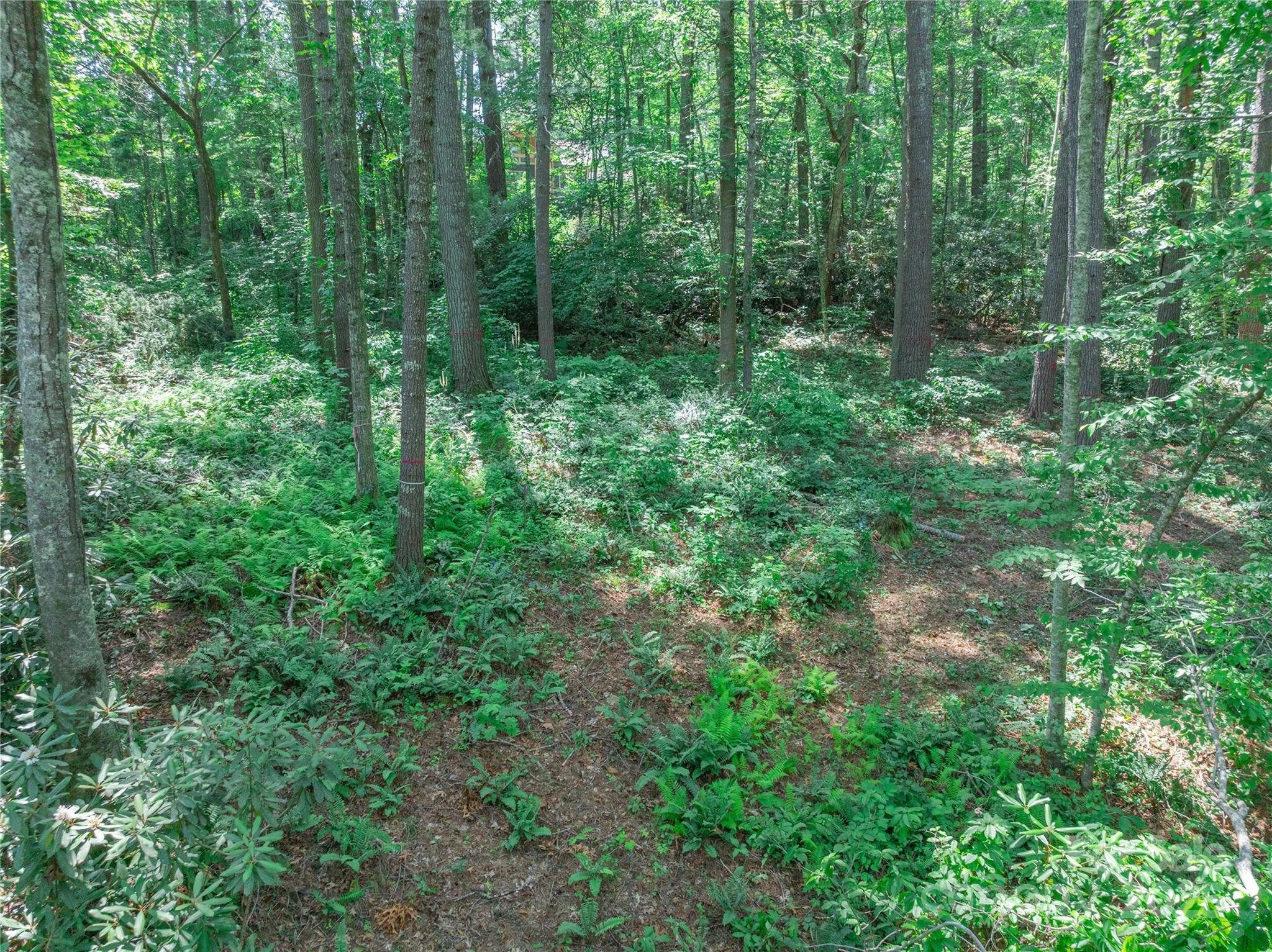52 Trail Top Drive Property Photo 33