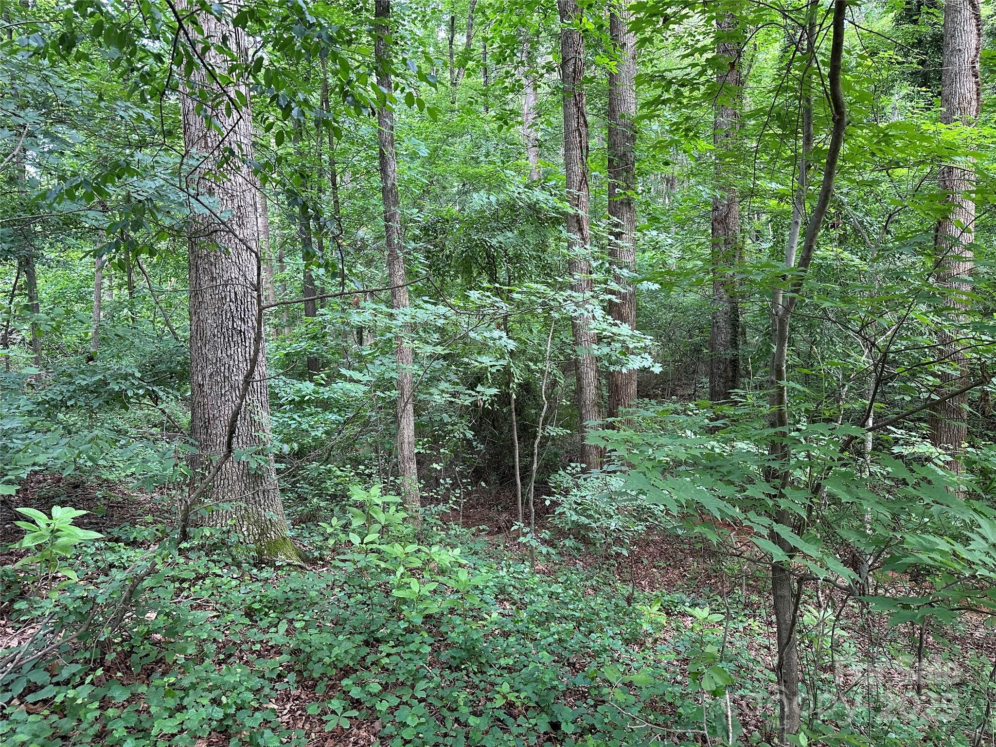 00 Fremont Lane Property Photo 1