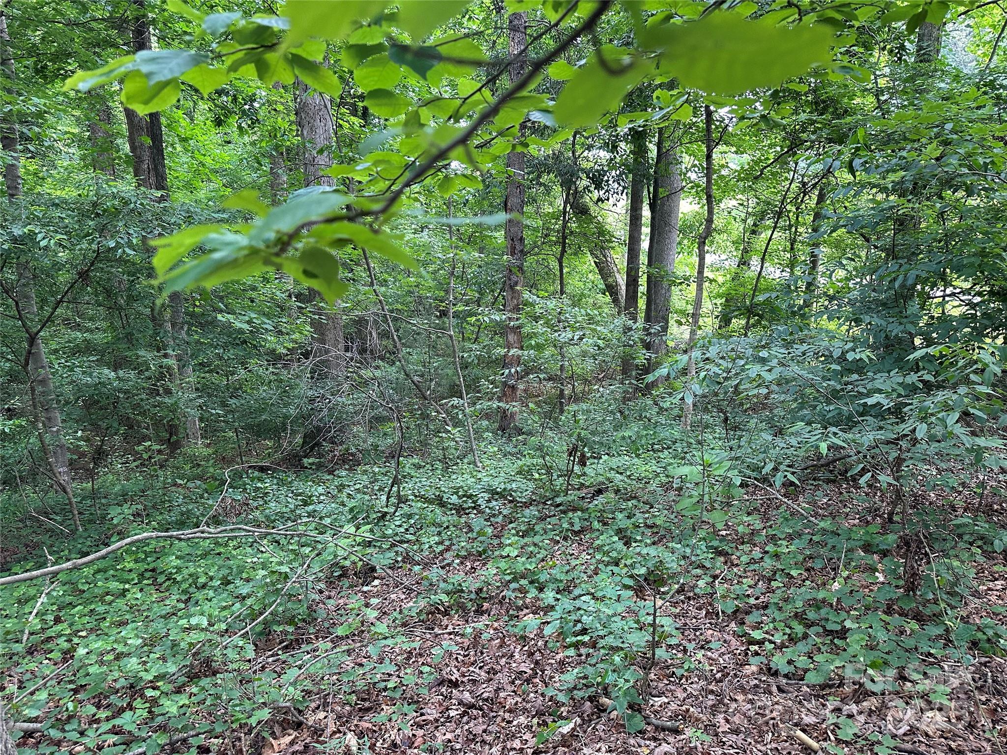 00 Fremont Lane Property Photo 6