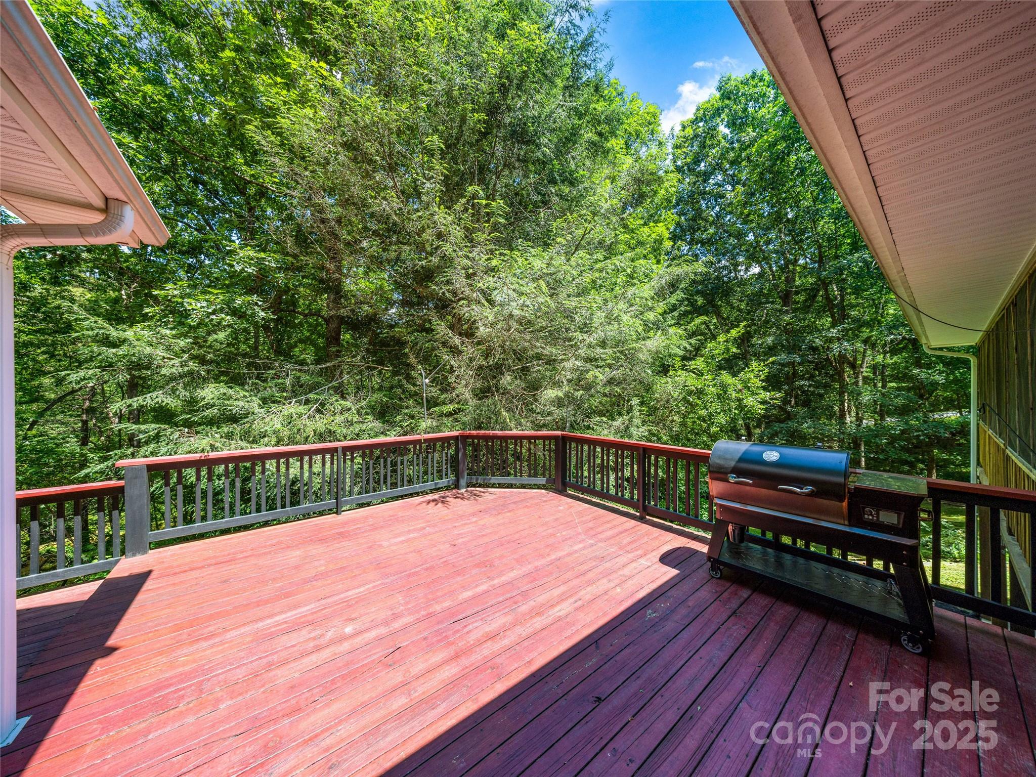 247 Big Raven Lane Property Photo 18
