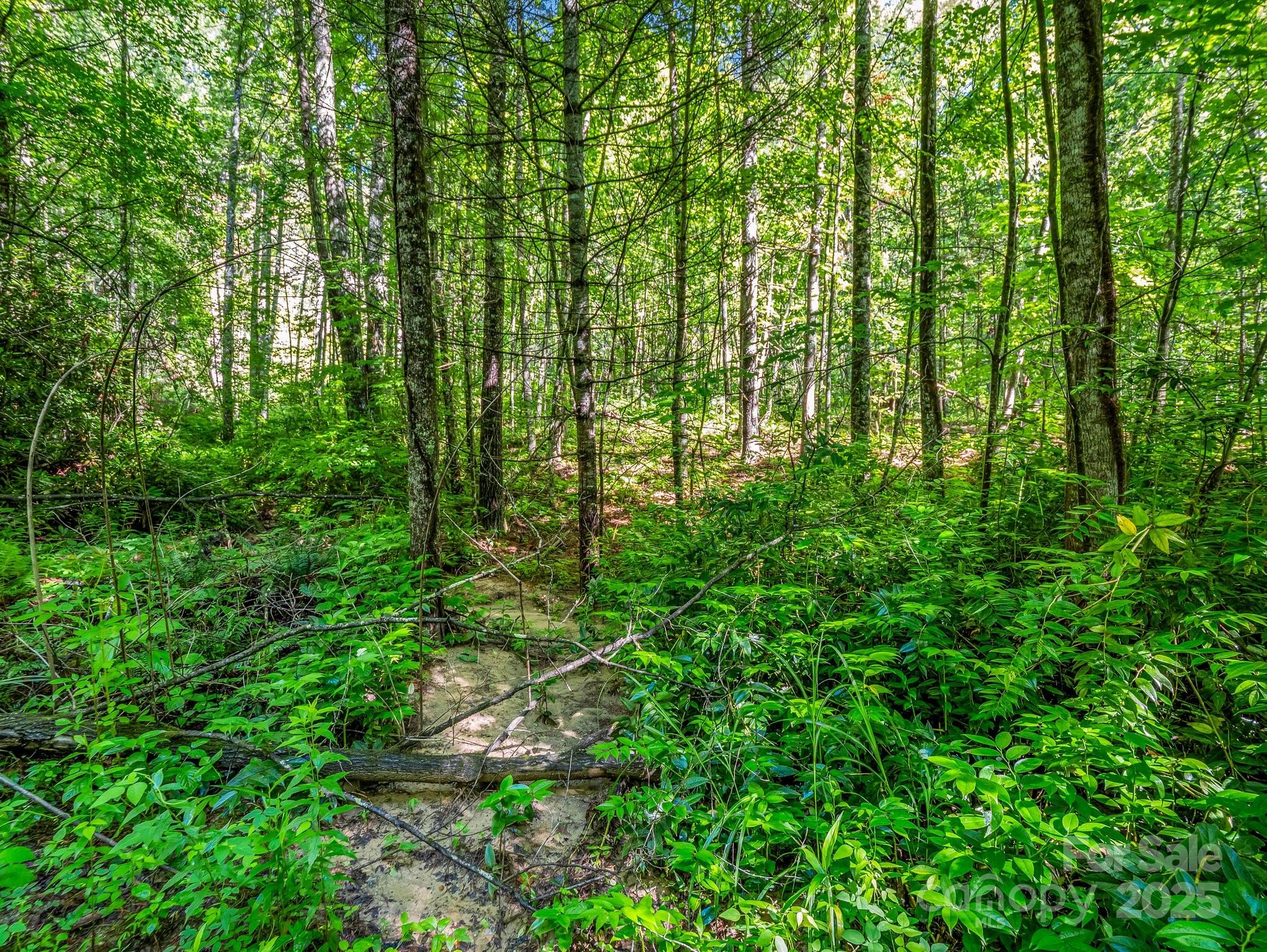 Tbd Climbing Road Property Photo 1