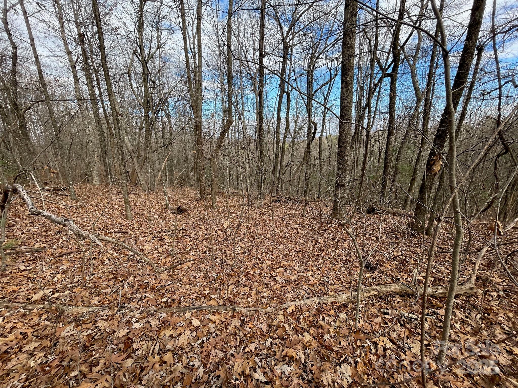 290 Shoal Creek Road Property Photo 1