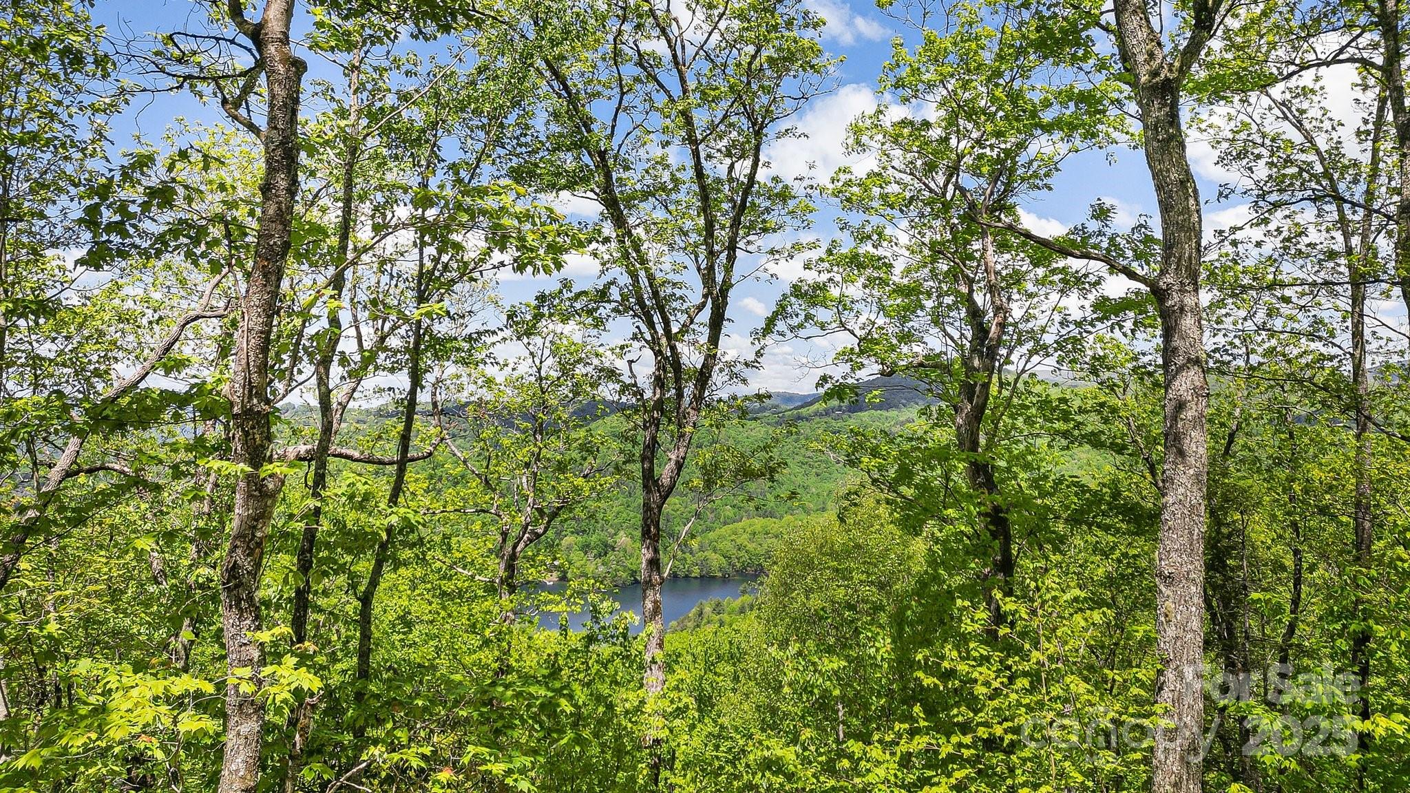 Lt 15a Von Trapp Lane 15a Property Photo 3