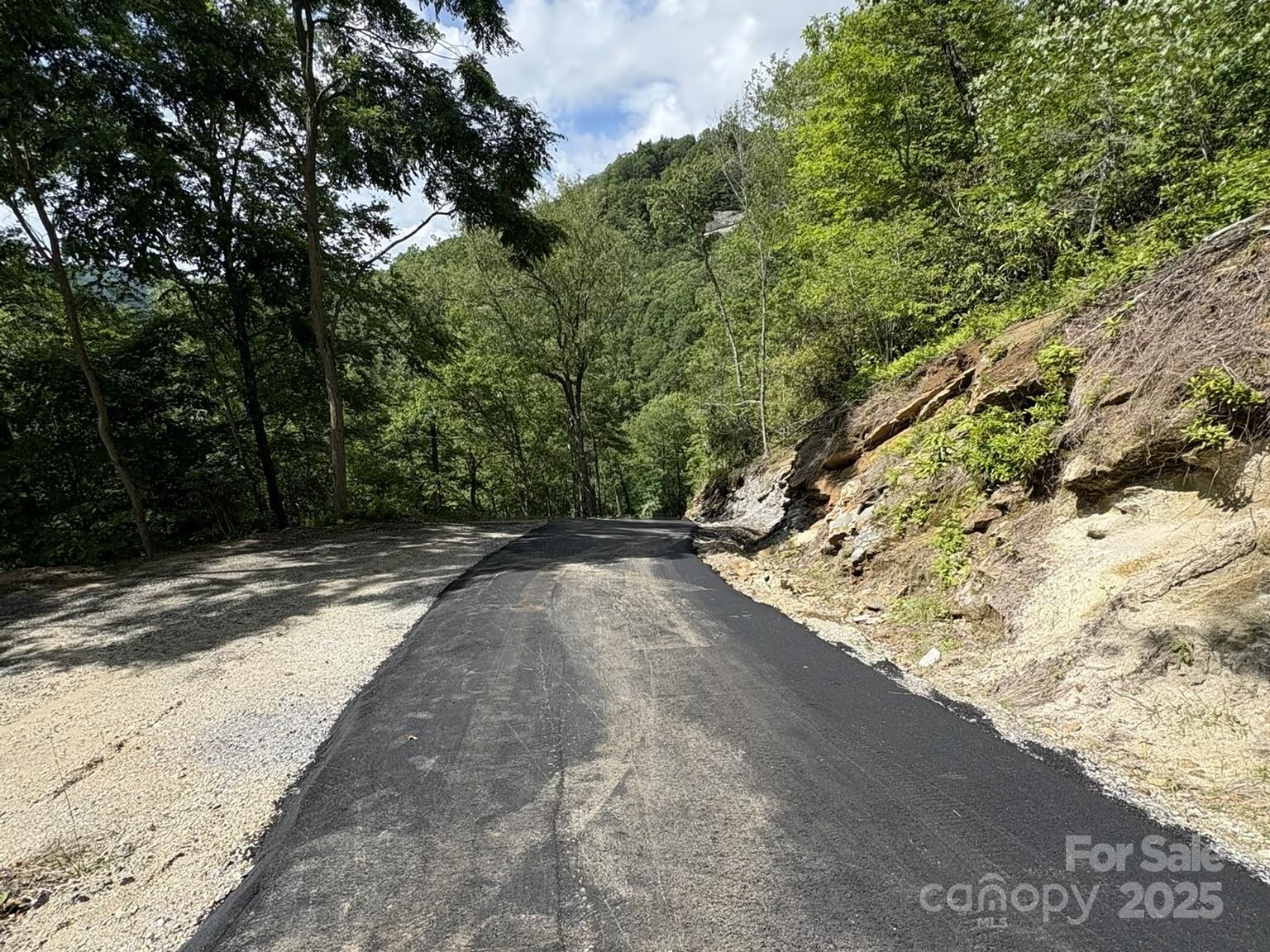 Lt 15a Von Trapp Lane 15a Property Photo 9