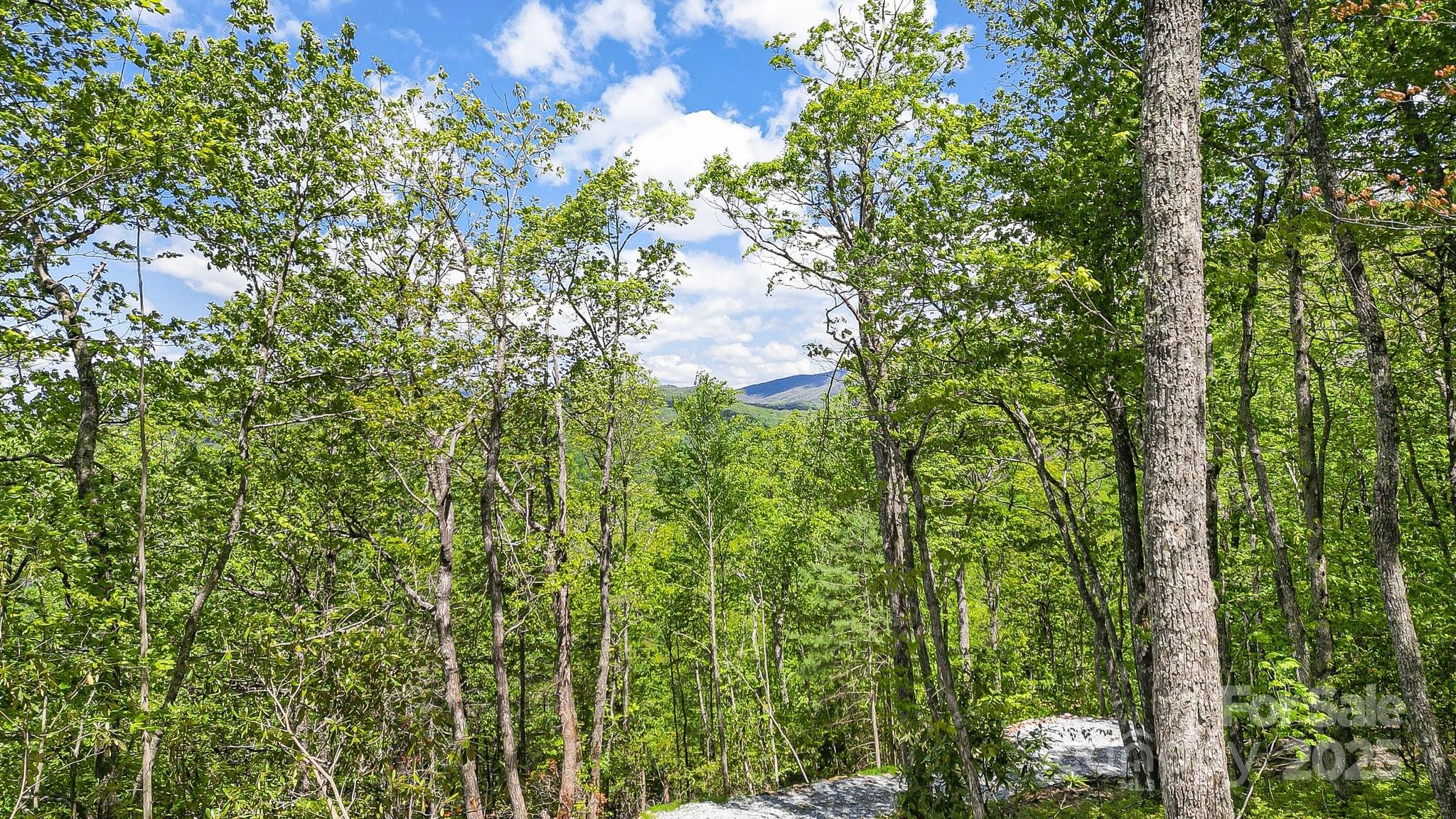 Lt 15a Von Trapp Lane 15a Property Photo 12