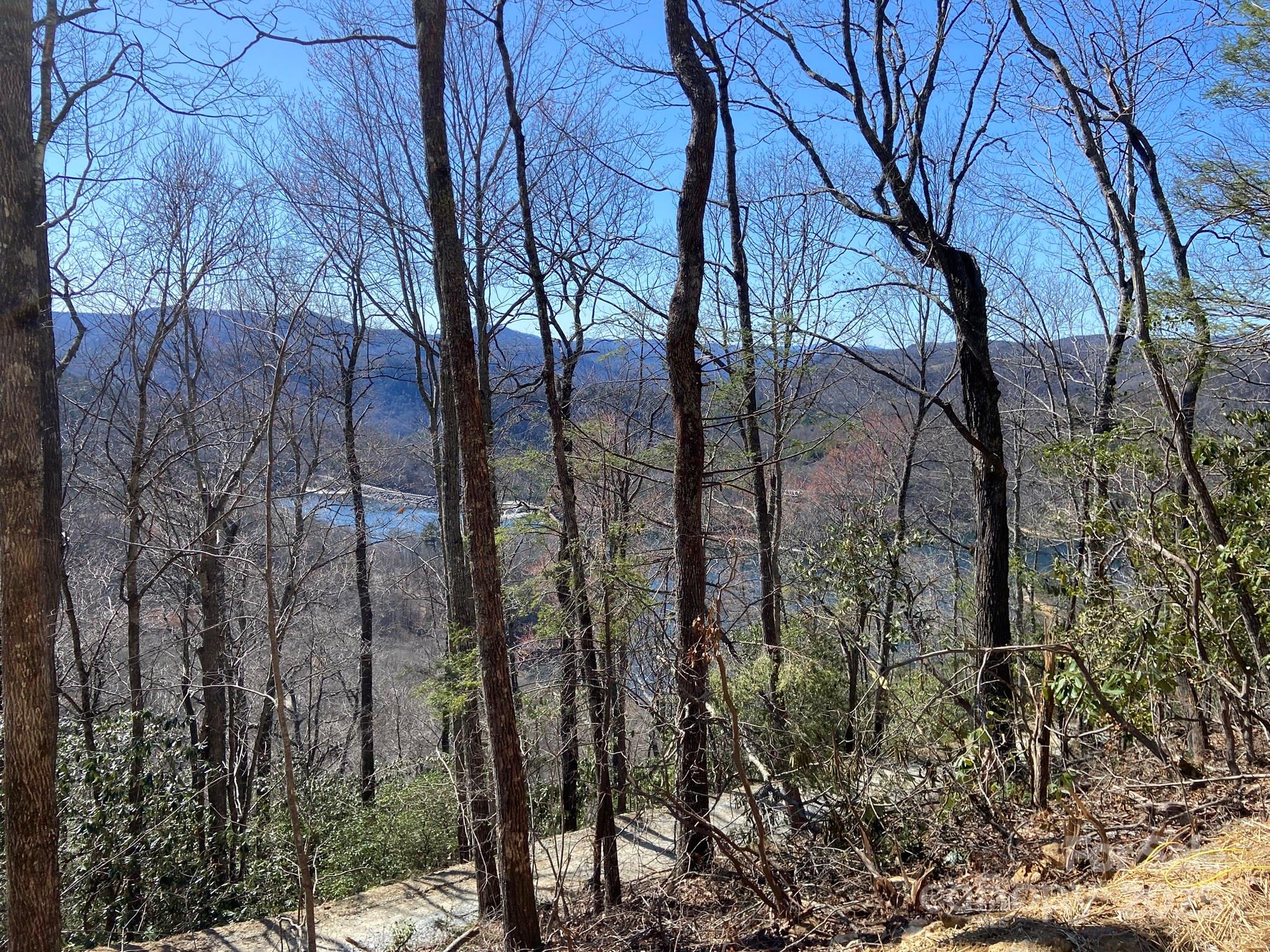 Lt 15a Von Trapp Lane 15a Property Photo 21