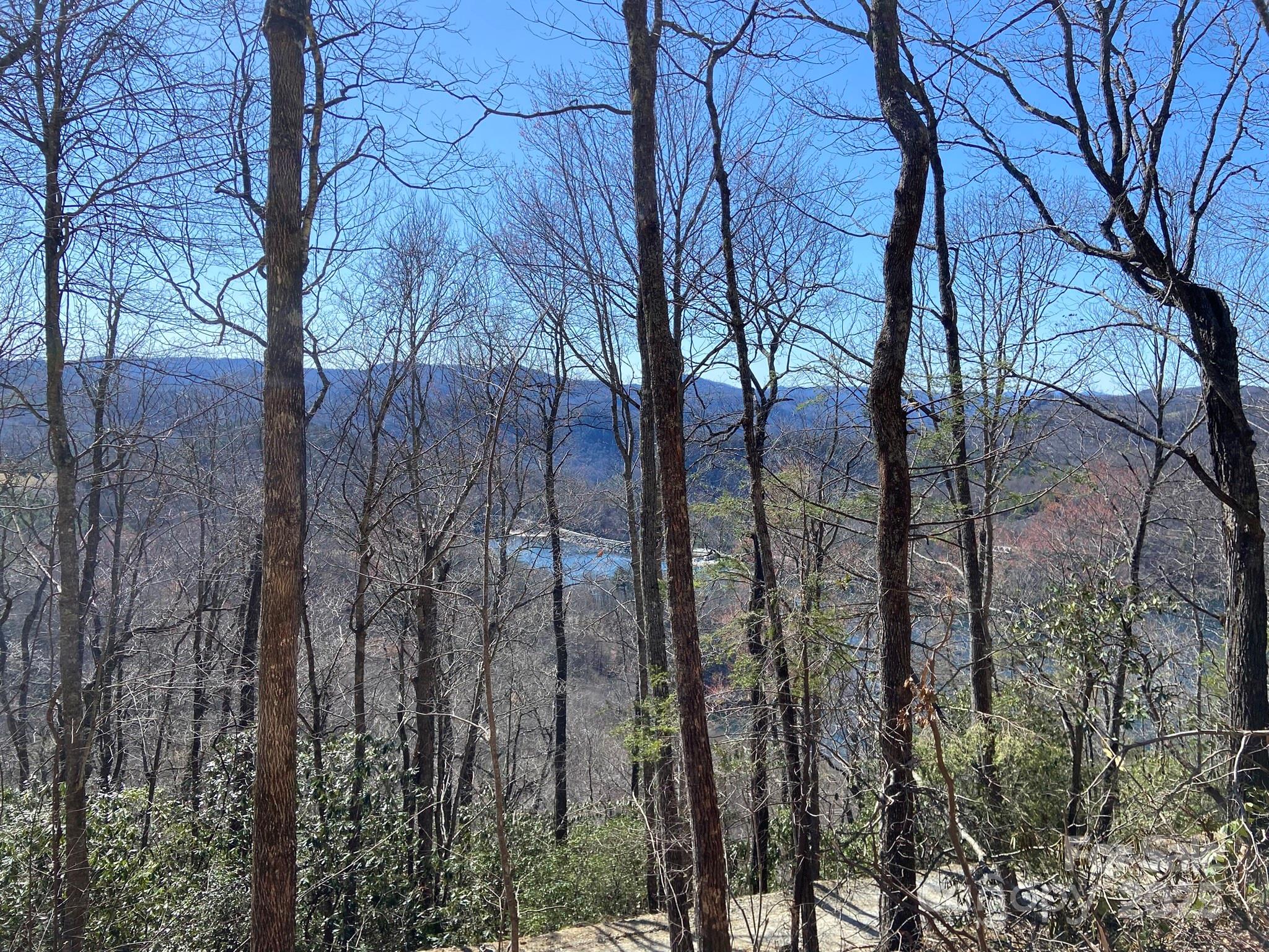 Lt 15a Von Trapp Lane 15a Property Photo 25