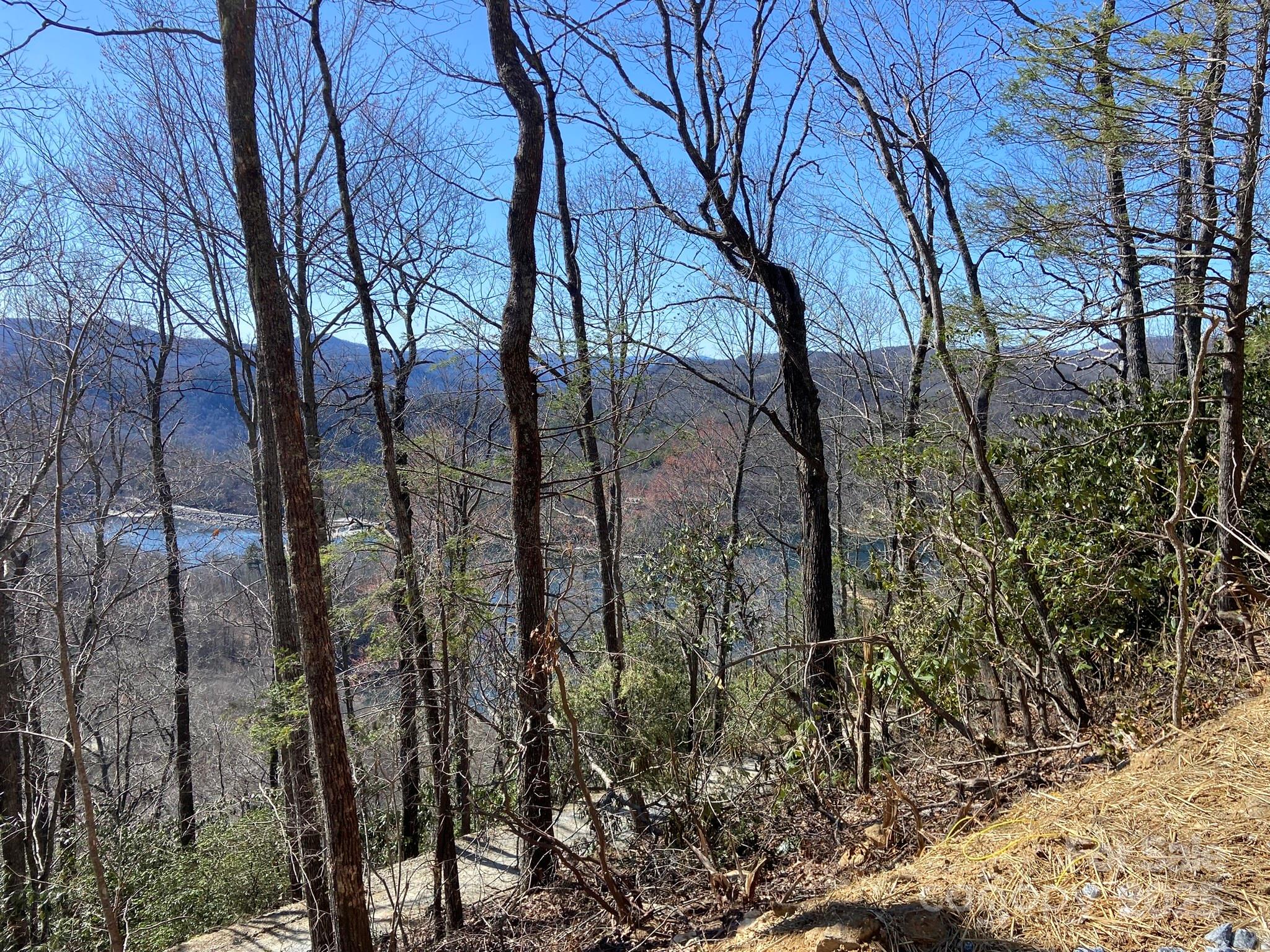 Lt 15a Von Trapp Lane 15a Property Photo 27