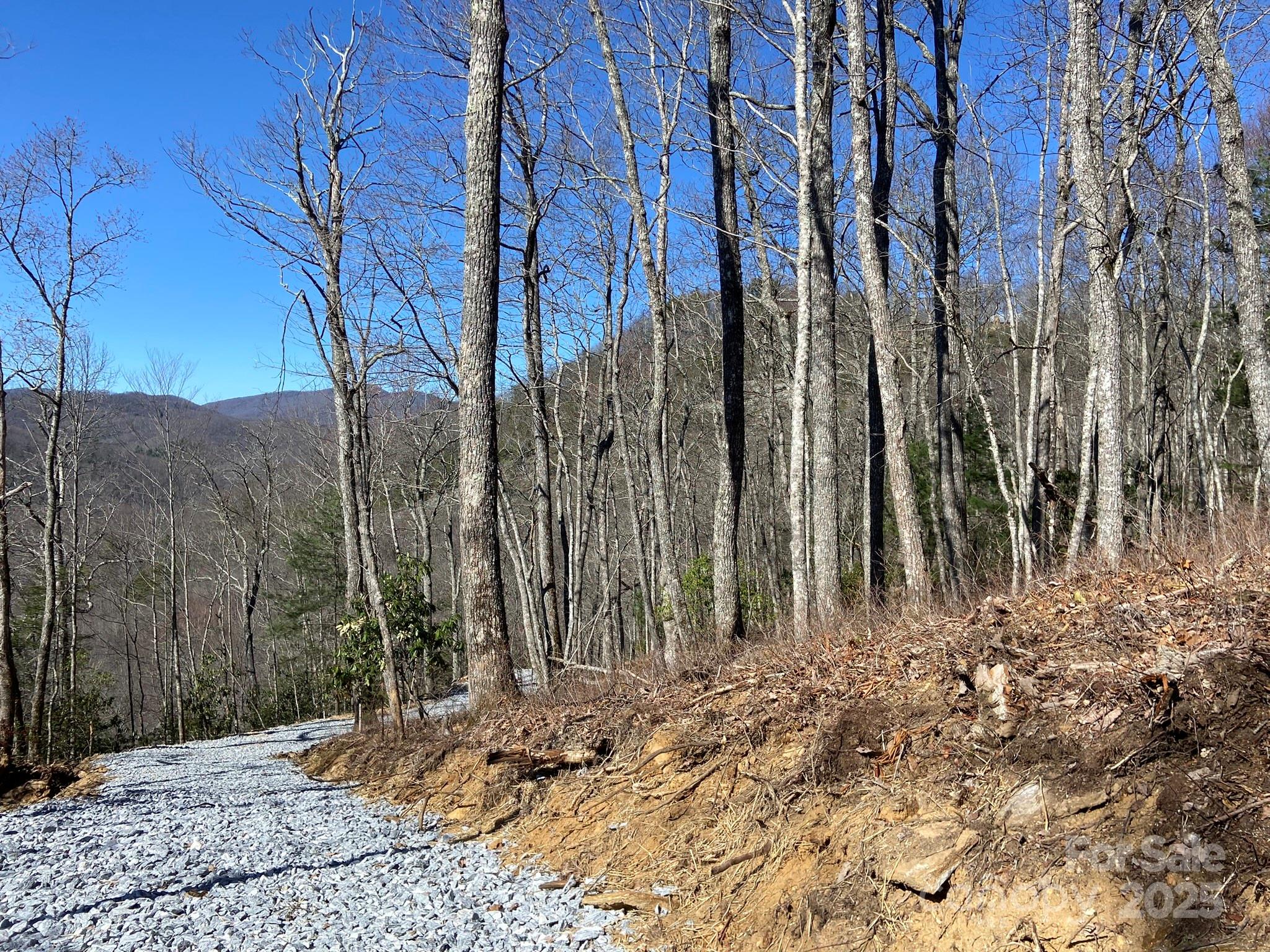 Lt 15a Von Trapp Lane 15a Property Photo 30