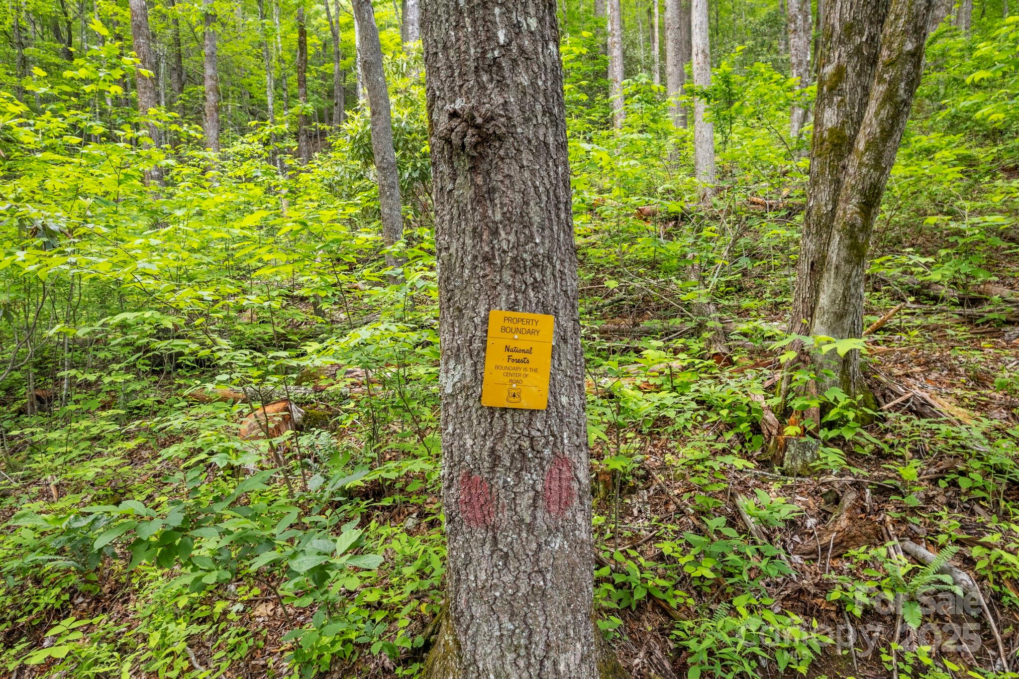 Lt 15a Von Trapp Lane 15a Property Photo 42