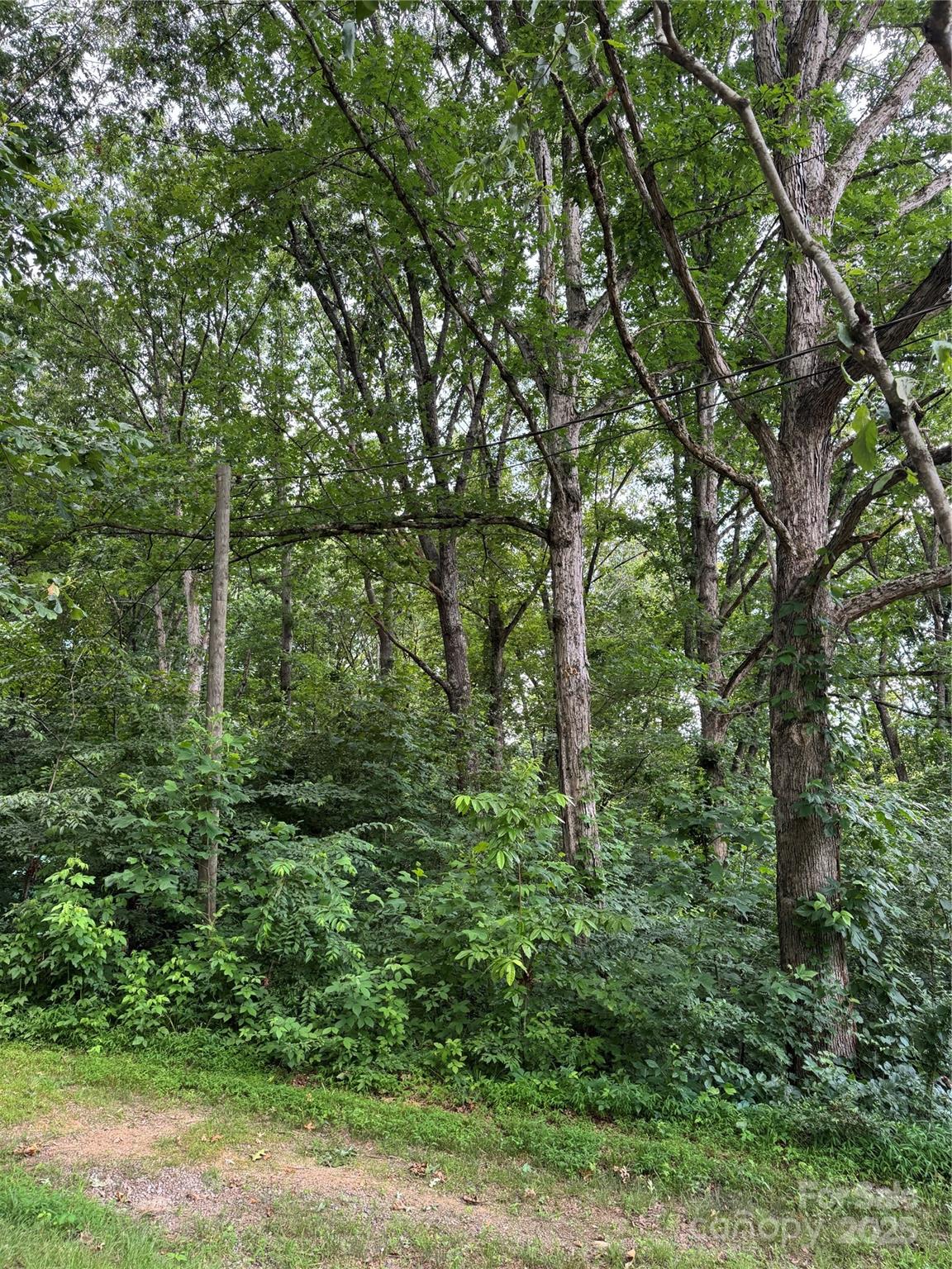 72 Pounders Drive Property Photo 6