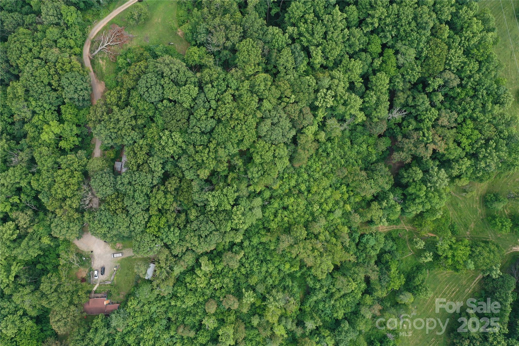 72 Pounders Drive Property Photo 12