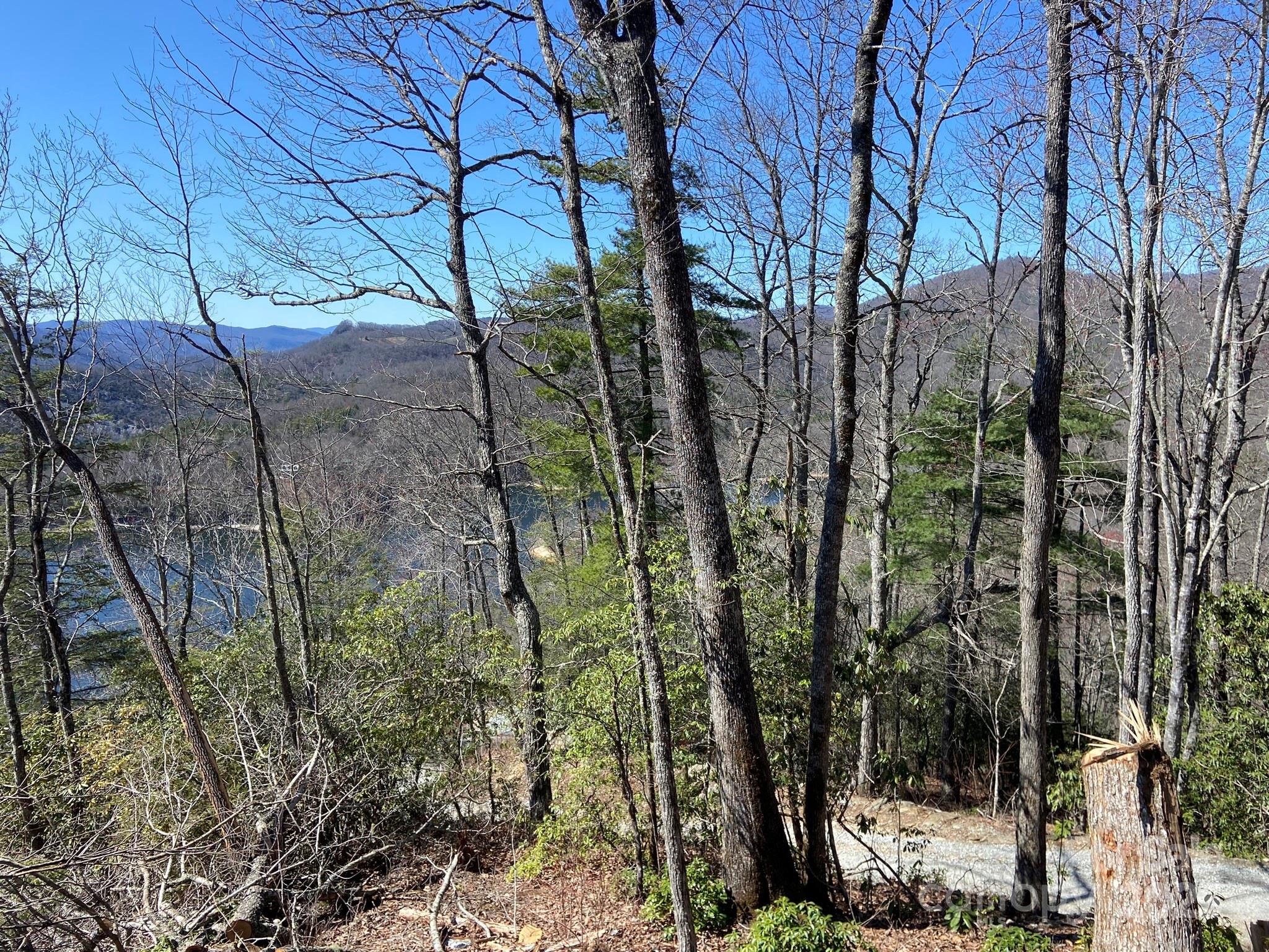 Lt 15b Von Trapp Lane 15b Property Photo 24