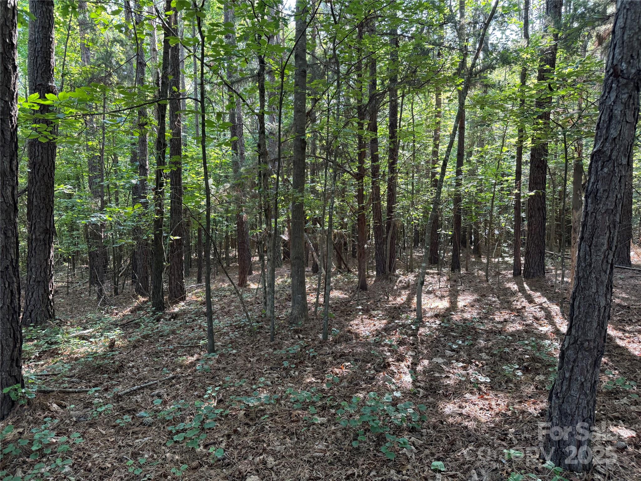 00 Rock Drive Property Photo 8