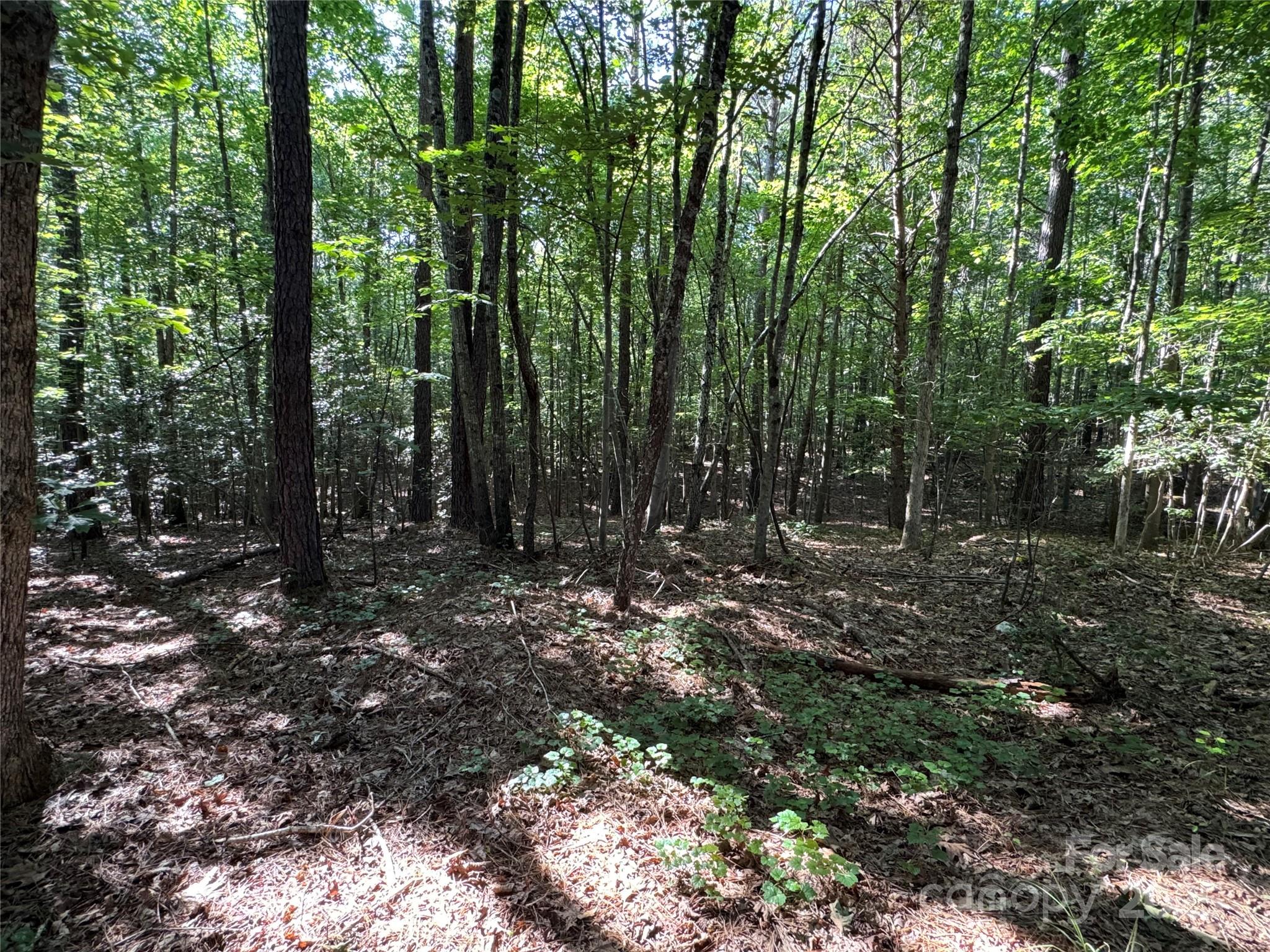 00 Rock Drive Property Photo 11