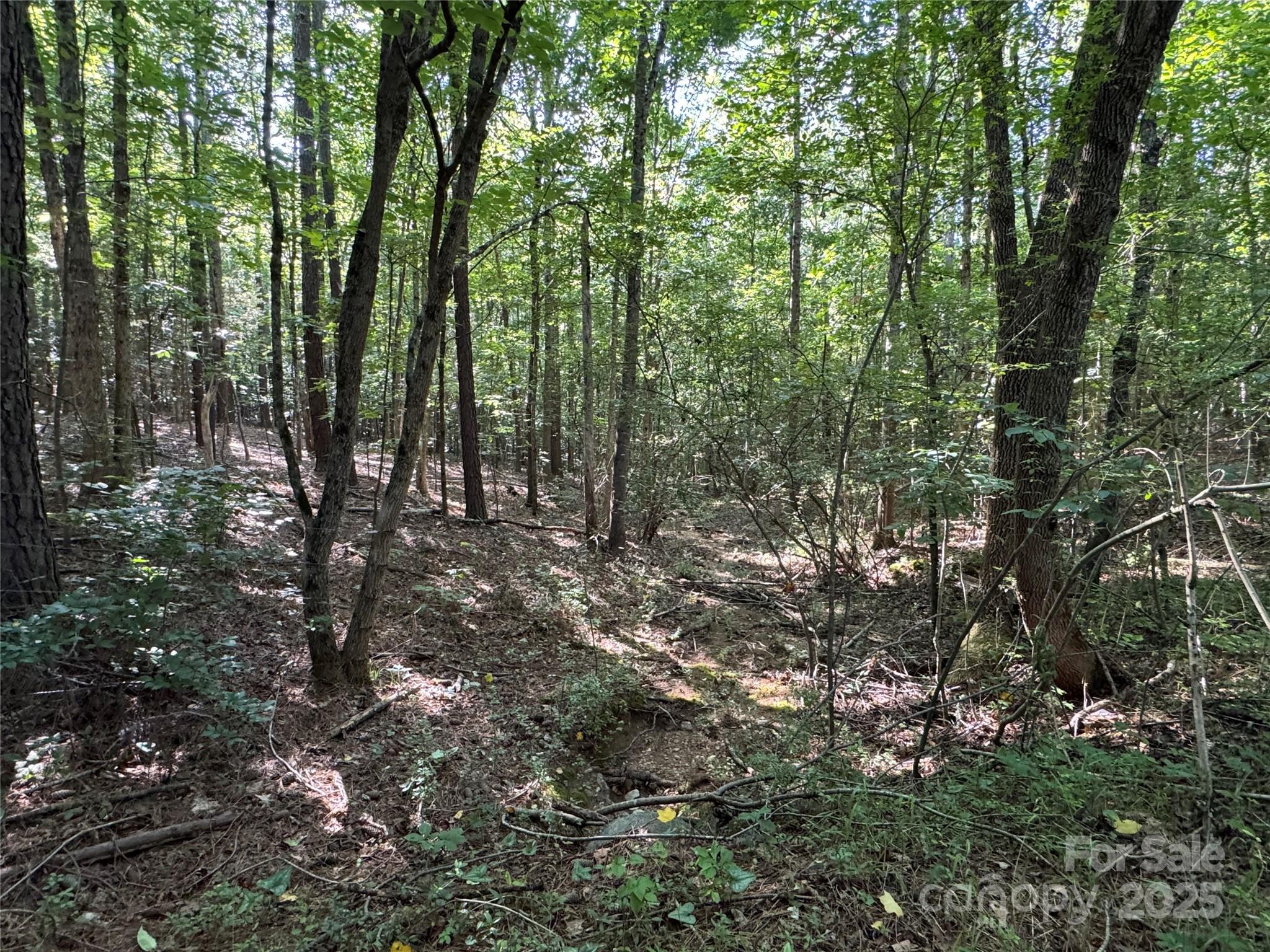 00 Rock Drive Property Photo 13