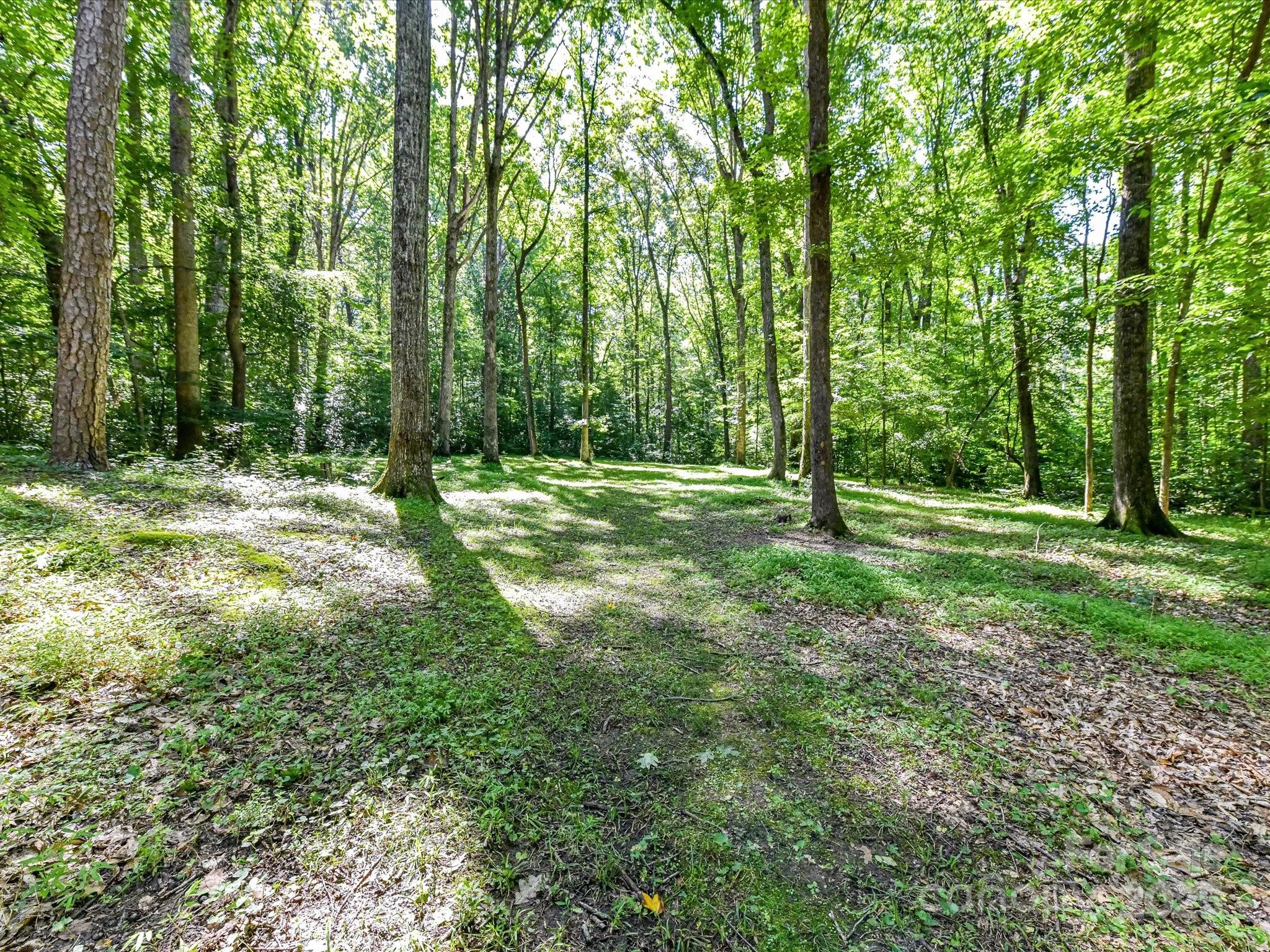 5955 Mountain Point Lane Property Photo 44