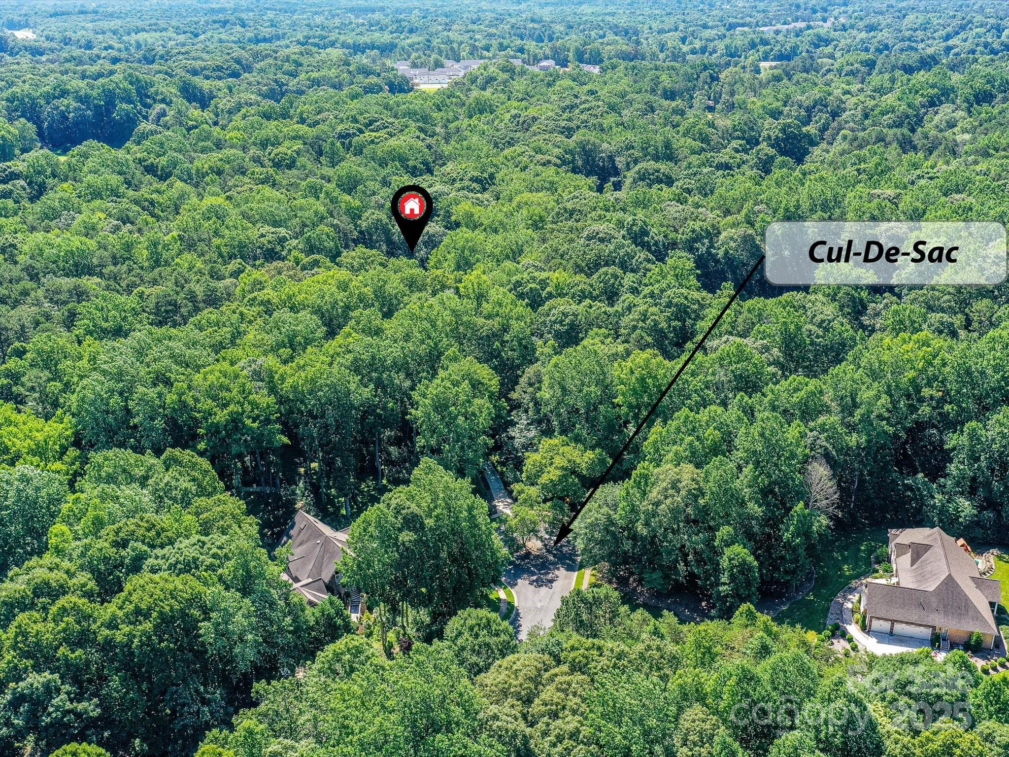 5955 Mountain Point Lane Property Photo 46