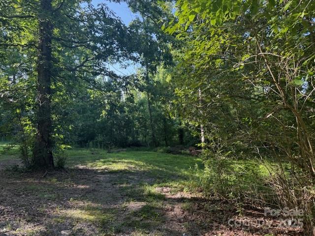 10600 Davidson Highway Property Photo 3