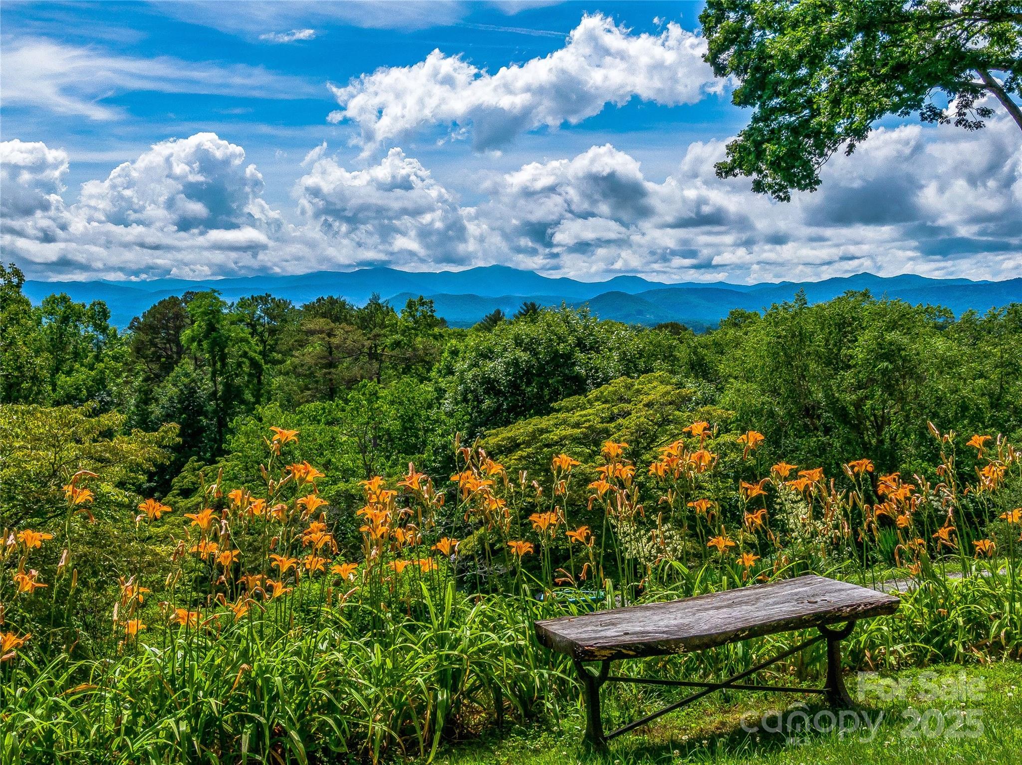 170 Twin Springs Road Property Photo 1