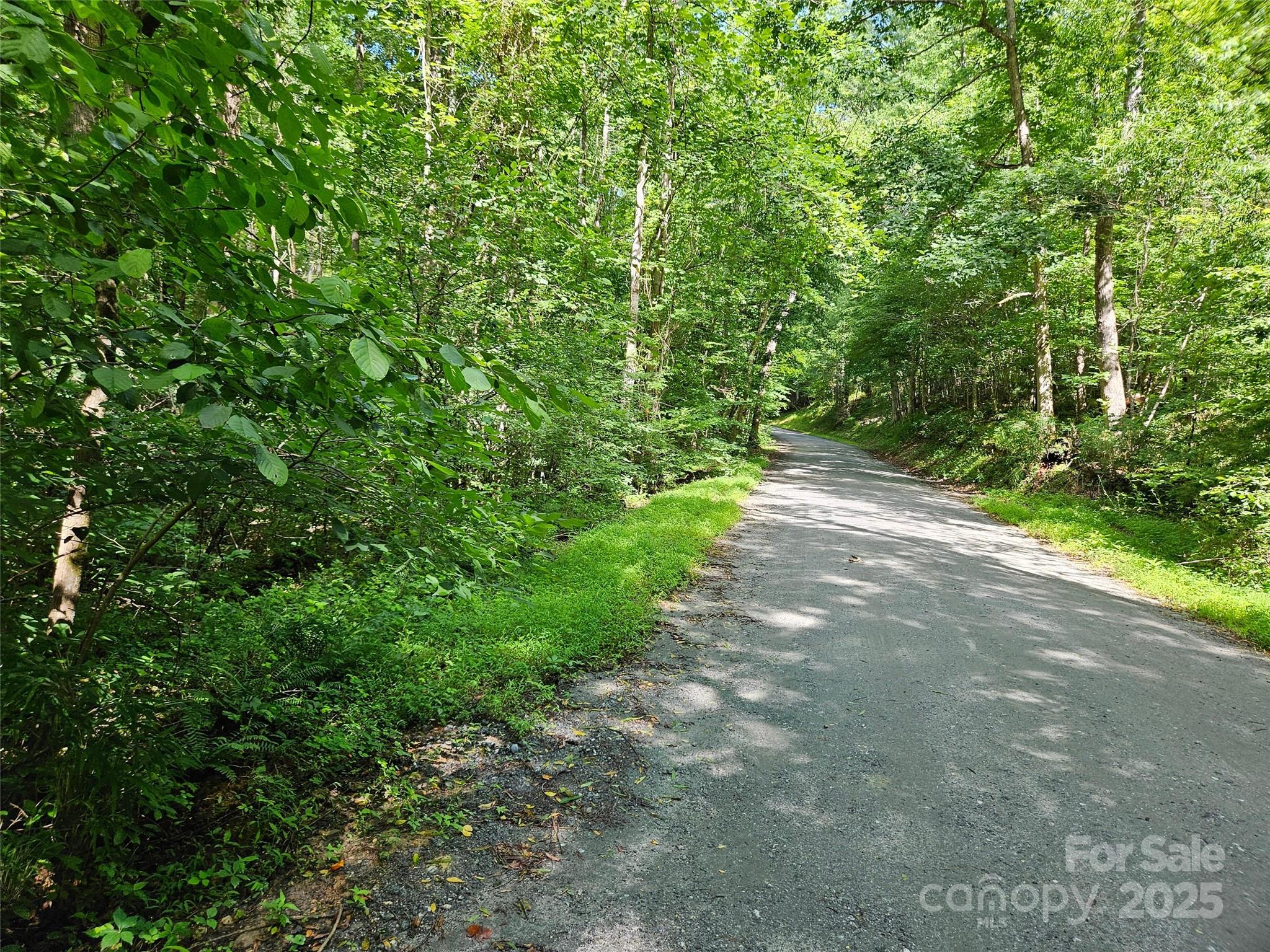 0 Sandpiper Avenue 163 Property Photo 1