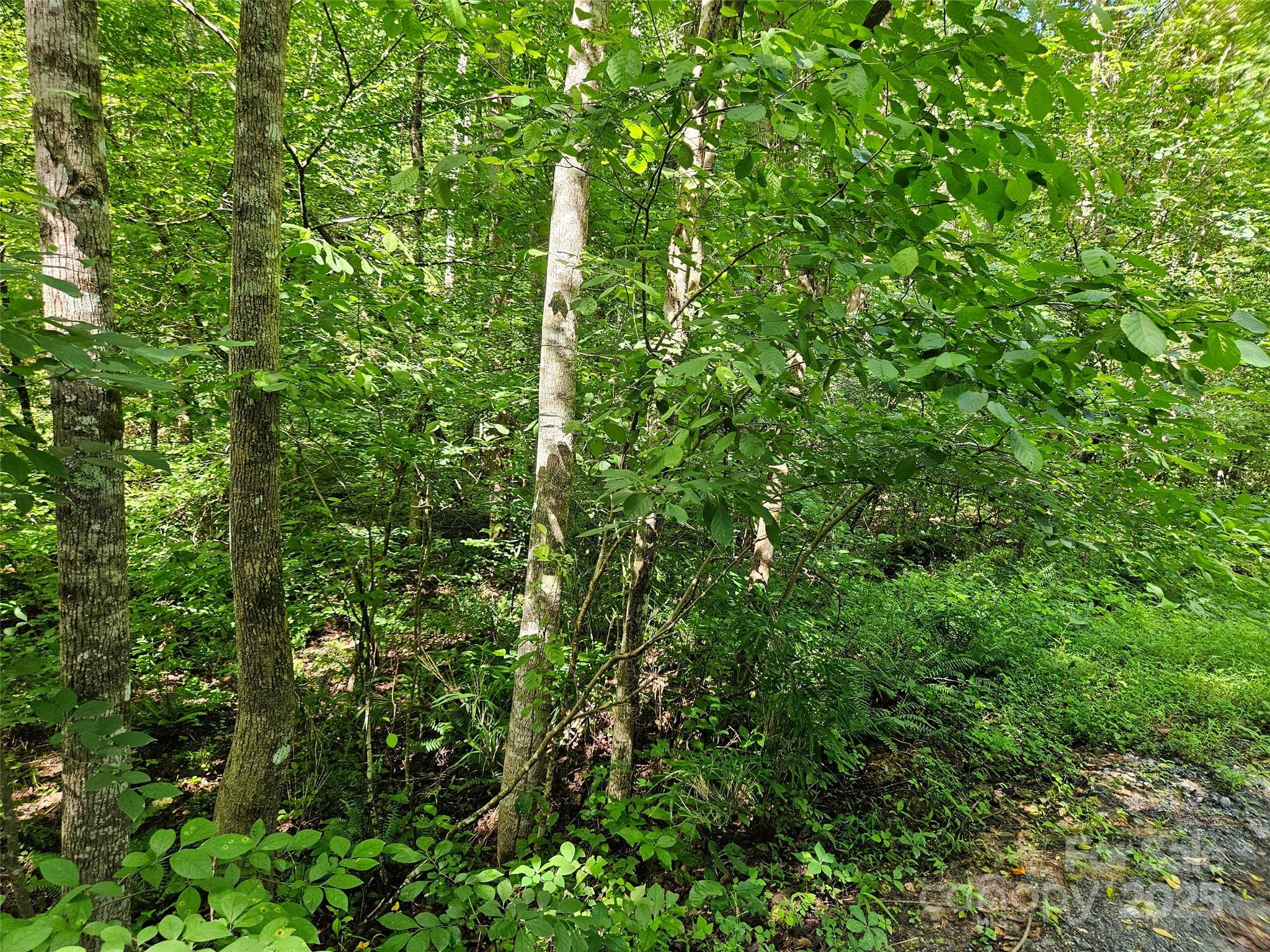 0 Sandpiper Avenue 163 Property Photo 2