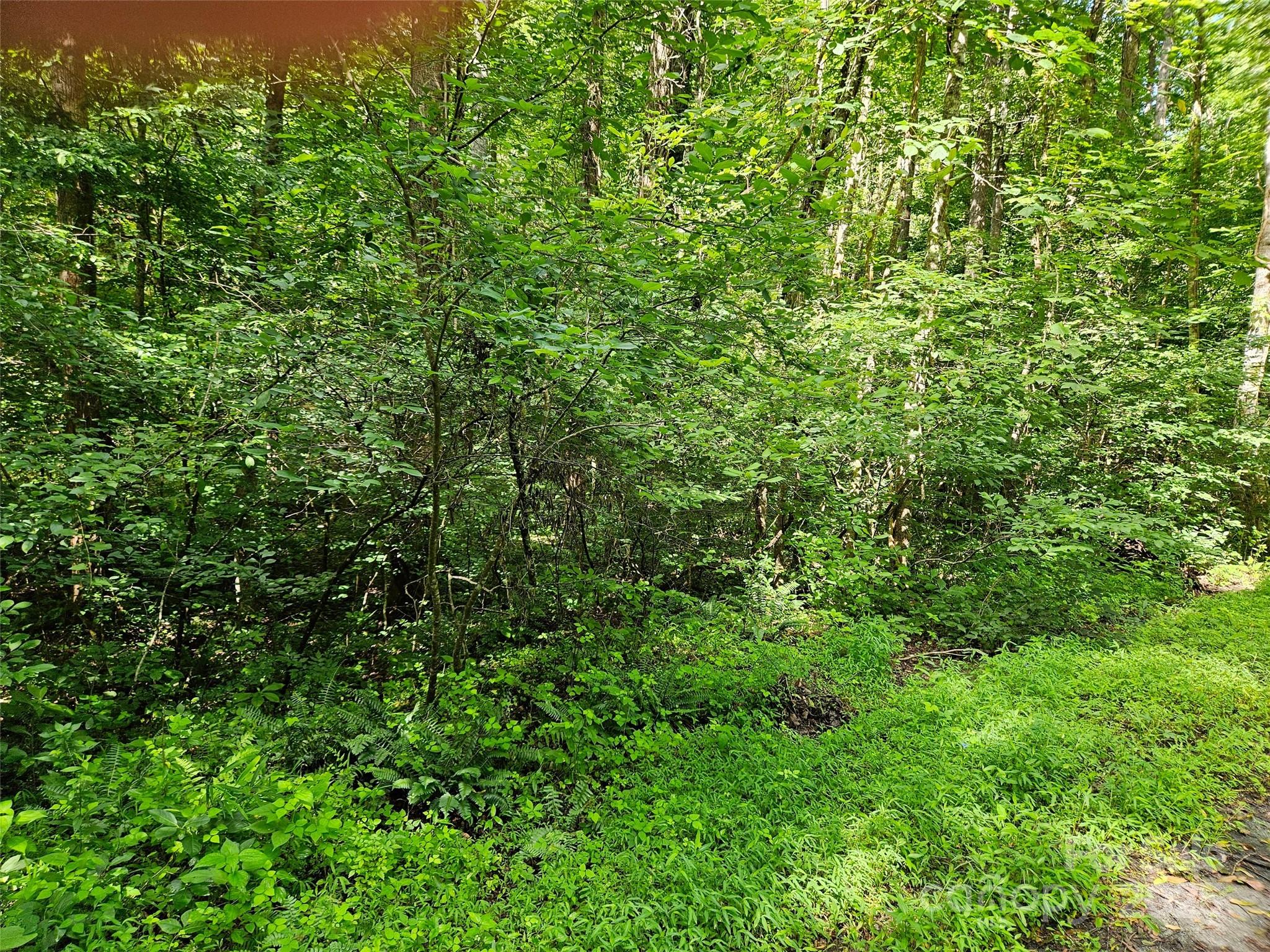 0 Sandpiper Avenue 163 Property Photo 3