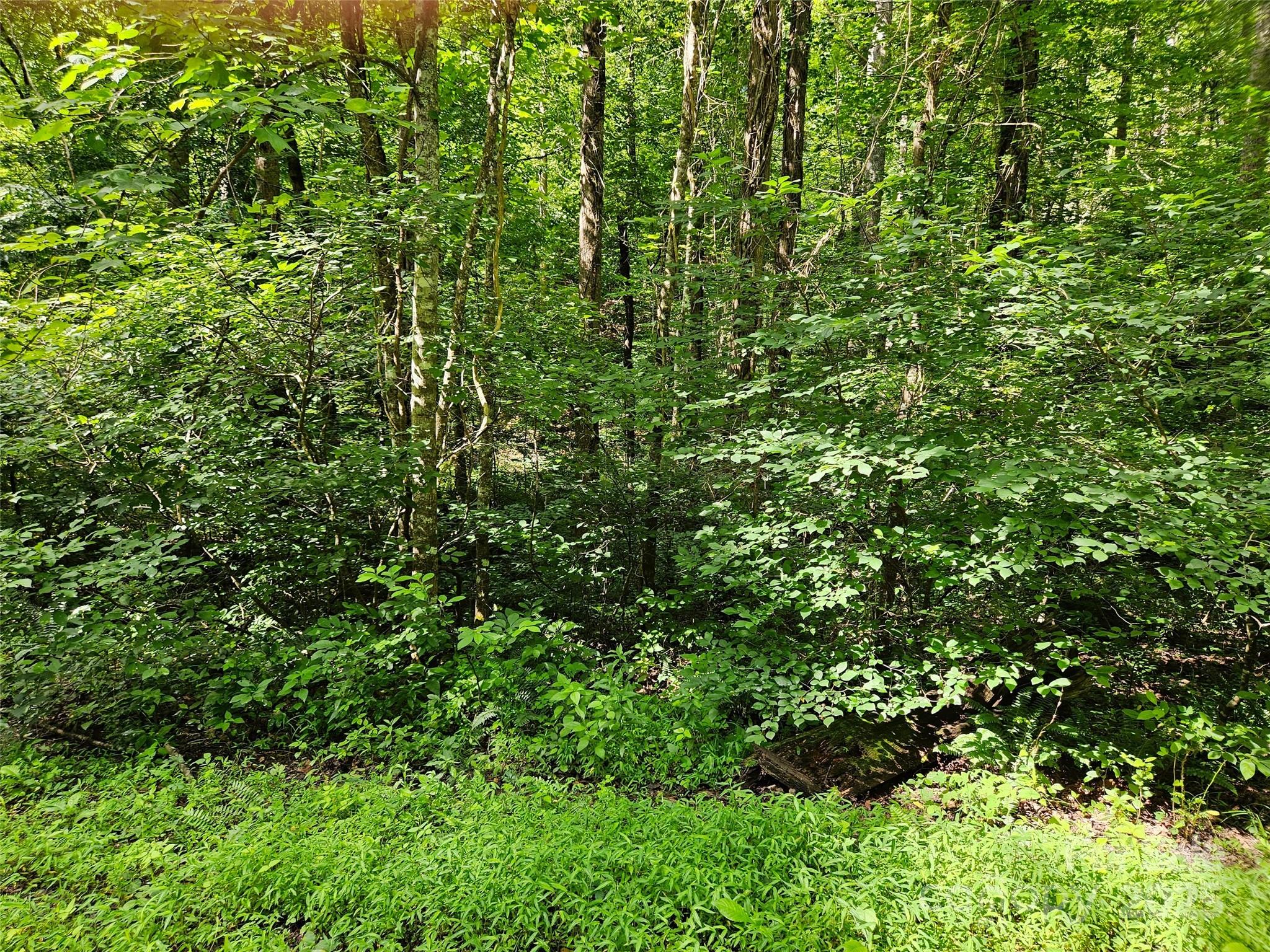 0 Sandpiper Avenue 163 Property Photo 4