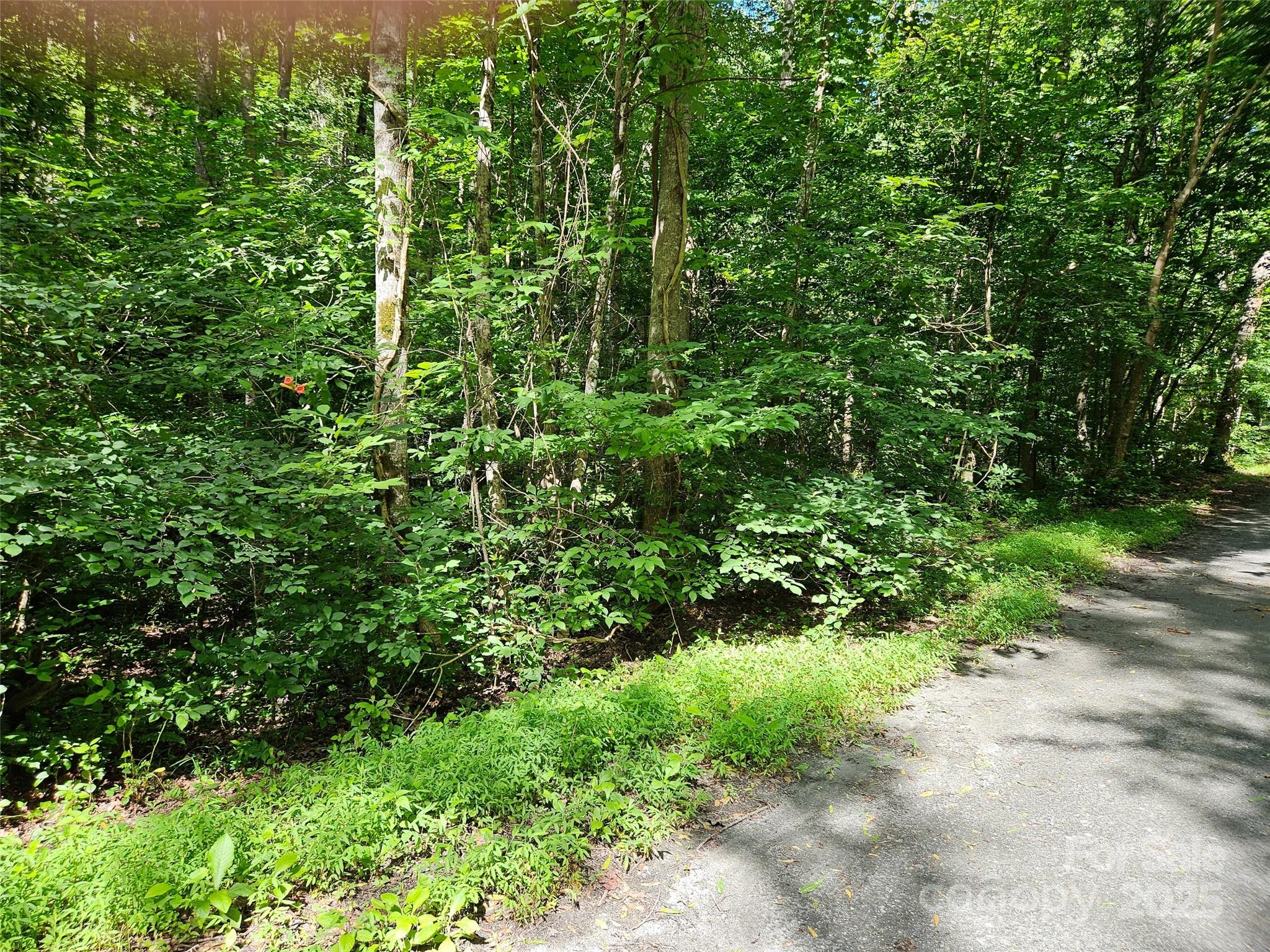 0 Sandpiper Avenue 163 Property Photo 5