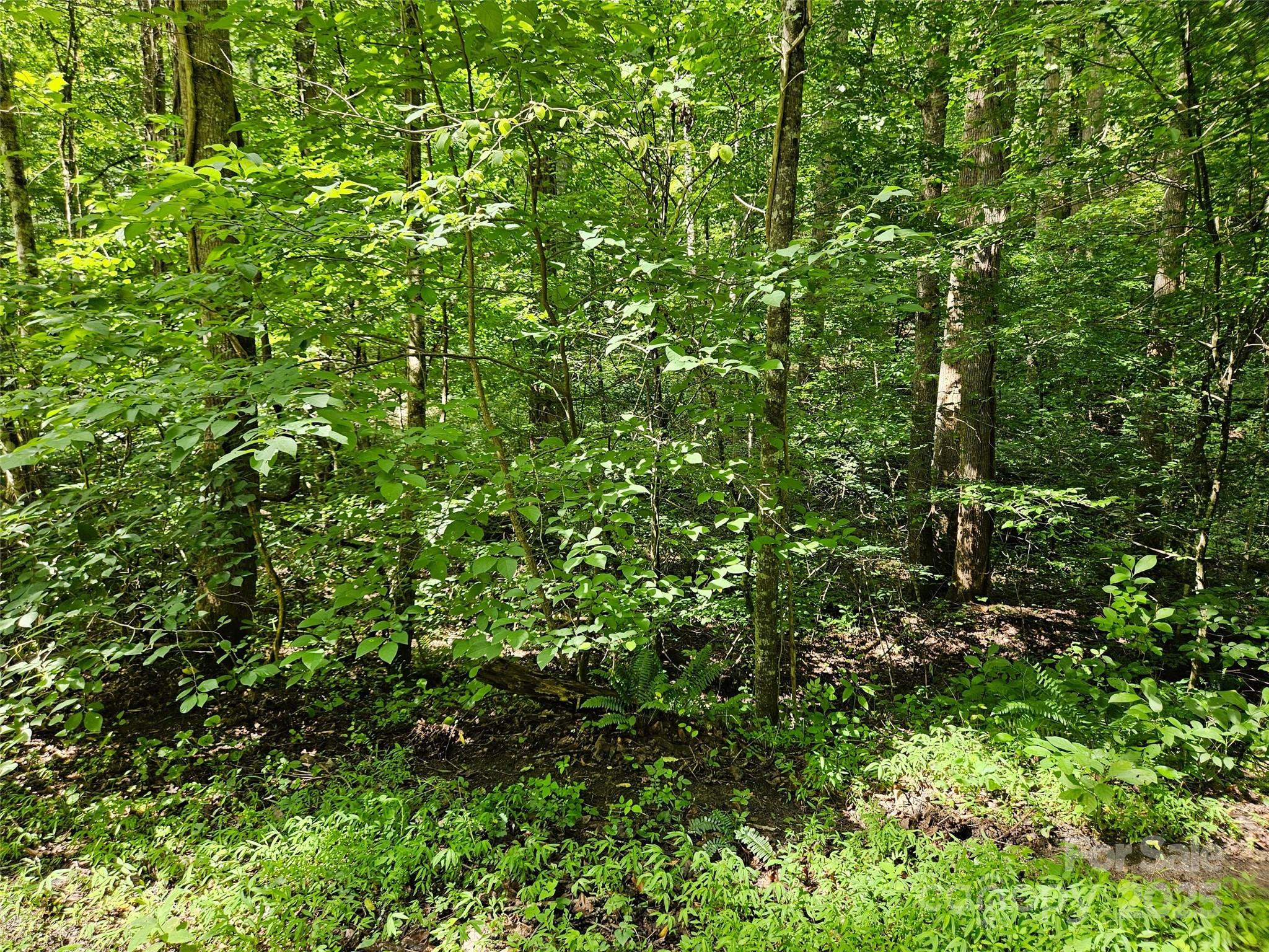 0 Sandpiper Avenue 163 Property Photo 6