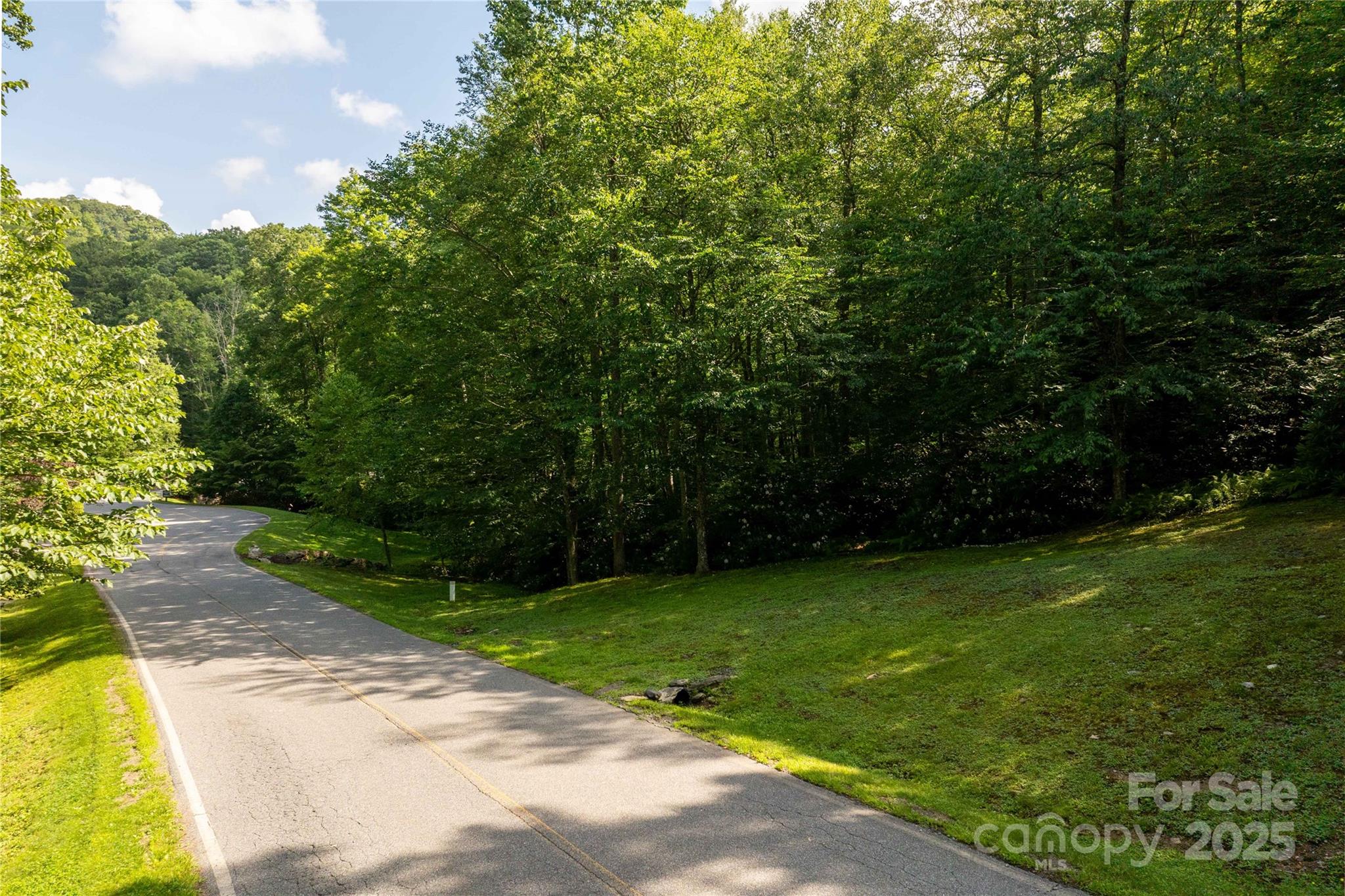 Tbd Lot 106 Firethorn Trail 106 Property Photo 1
