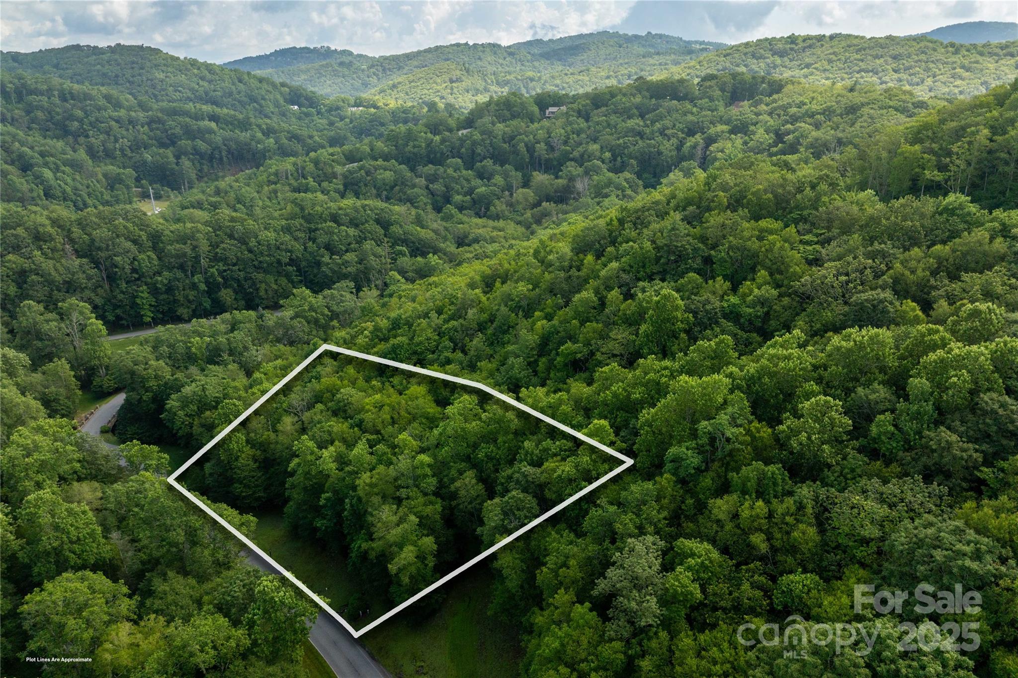 Tbd Lot 106 Firethorn Trail 106 Property Photo 4