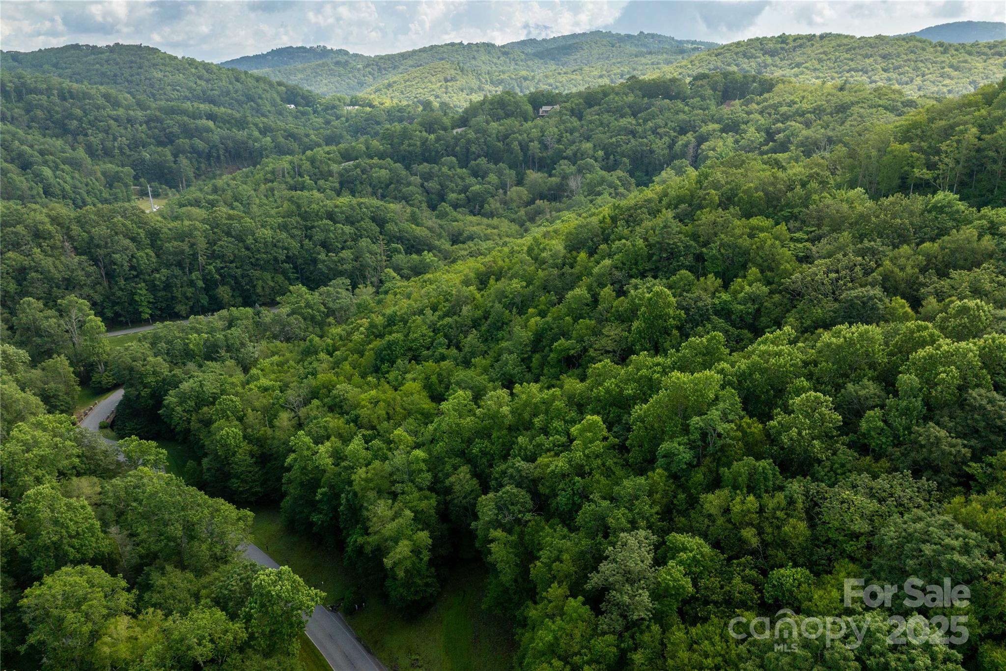 Tbd Lot 106 Firethorn Trail 106 Property Photo 5