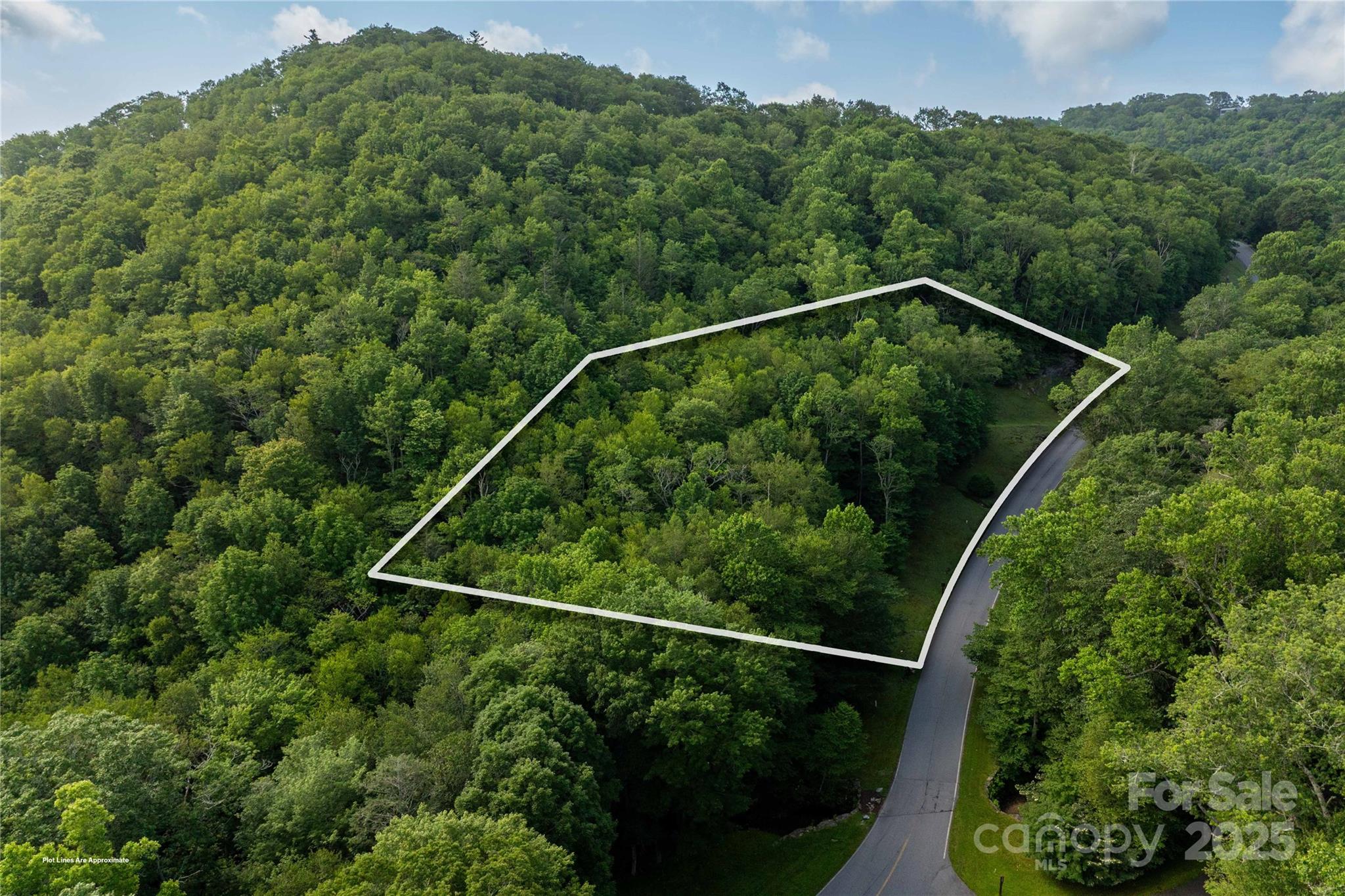 Tbd Lot 106 Firethorn Trail 106 Property Photo 6