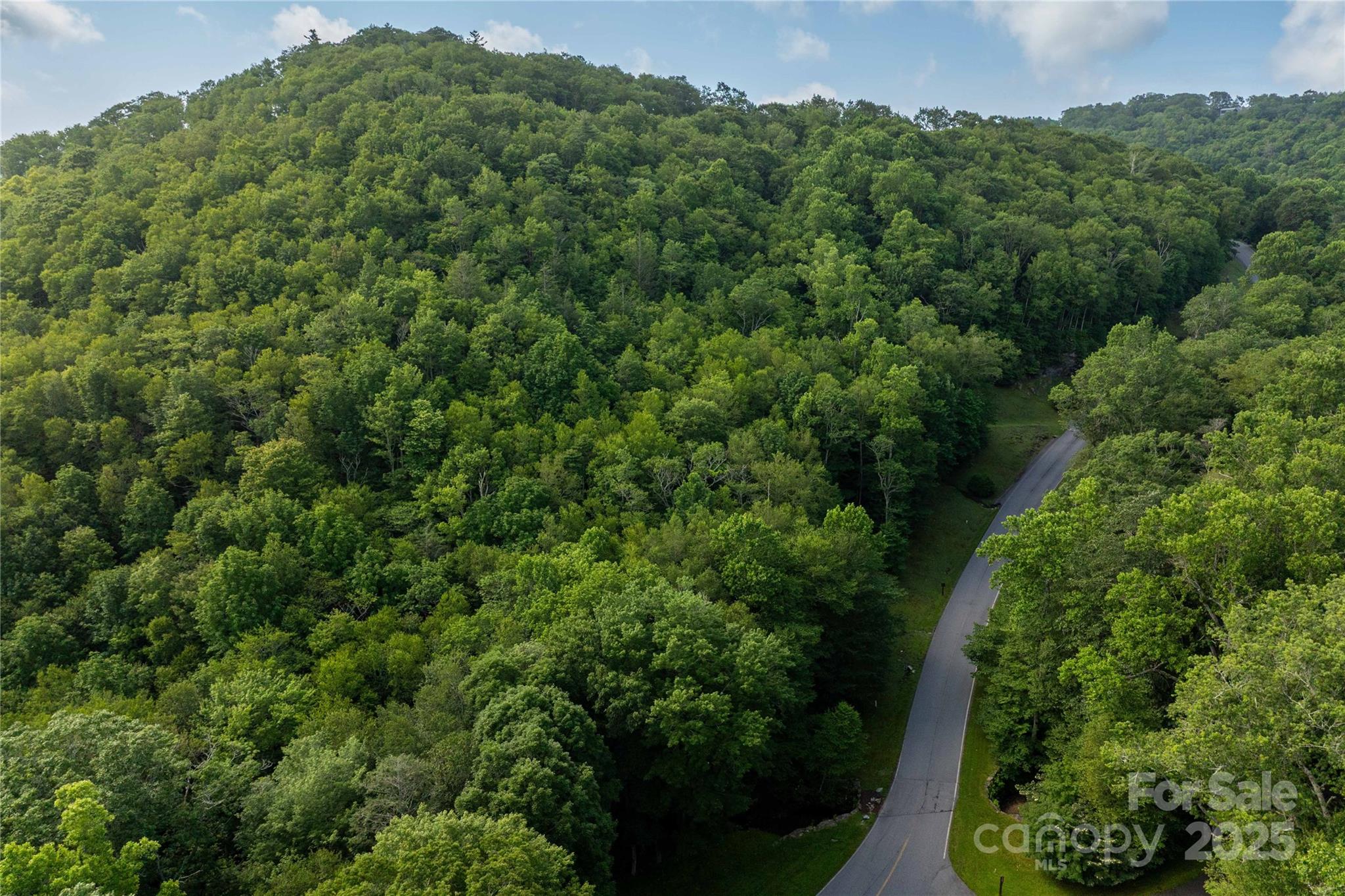 Tbd Lot 106 Firethorn Trail 106 Property Photo 7