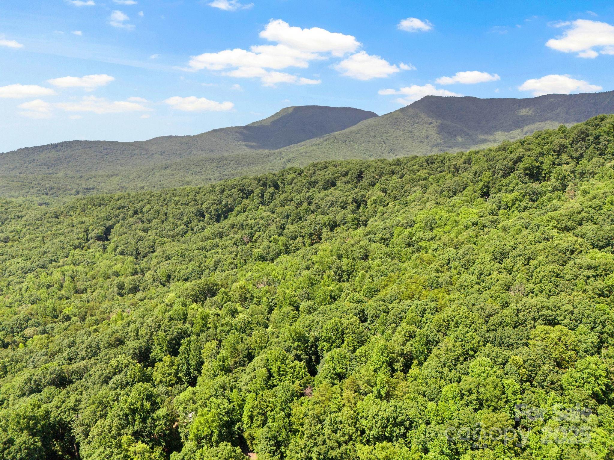 56 Cardinal Circle Property Photo 34