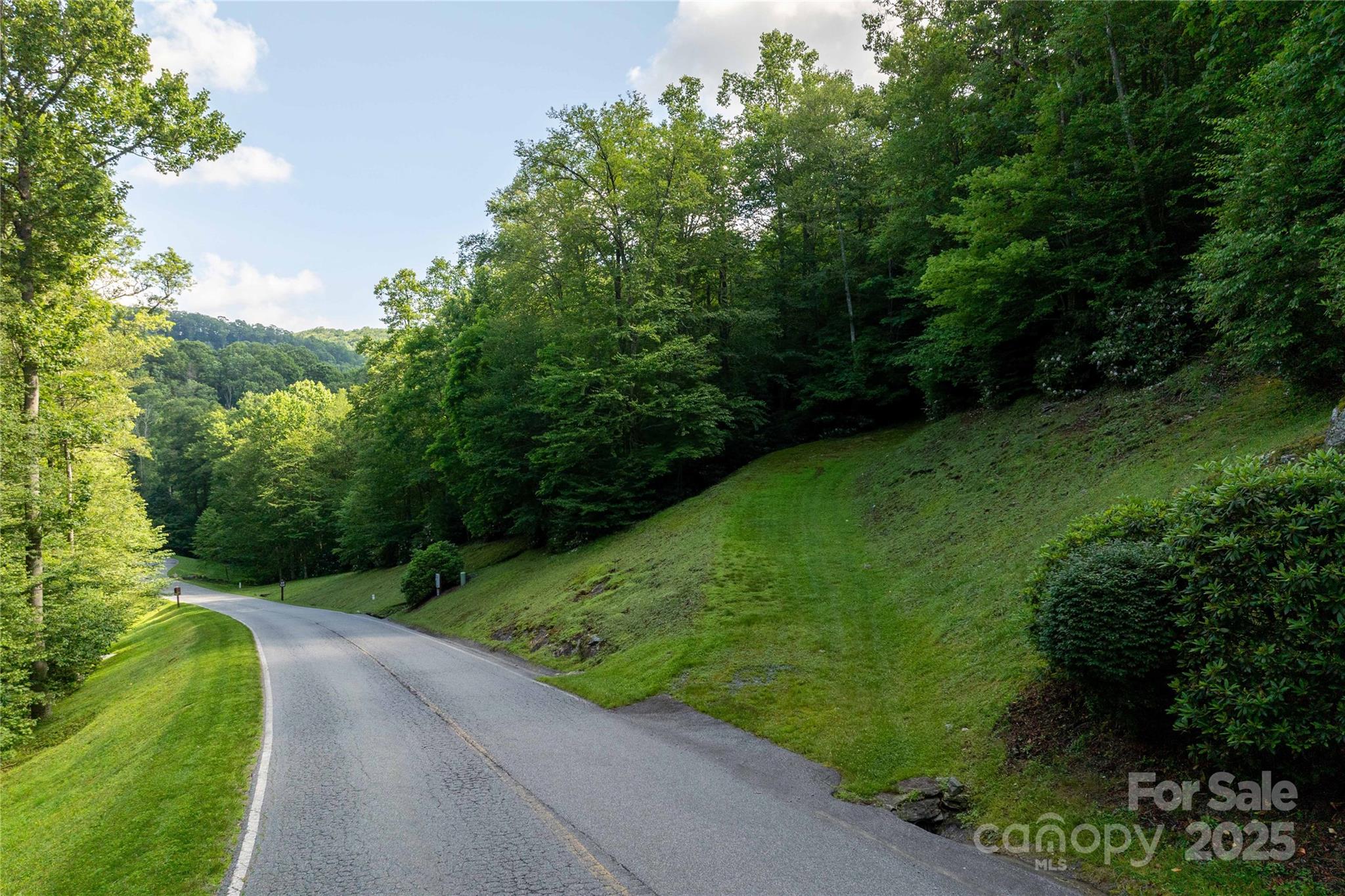 Tbd Lot 107 Firethorn Trail 107 Property Photo