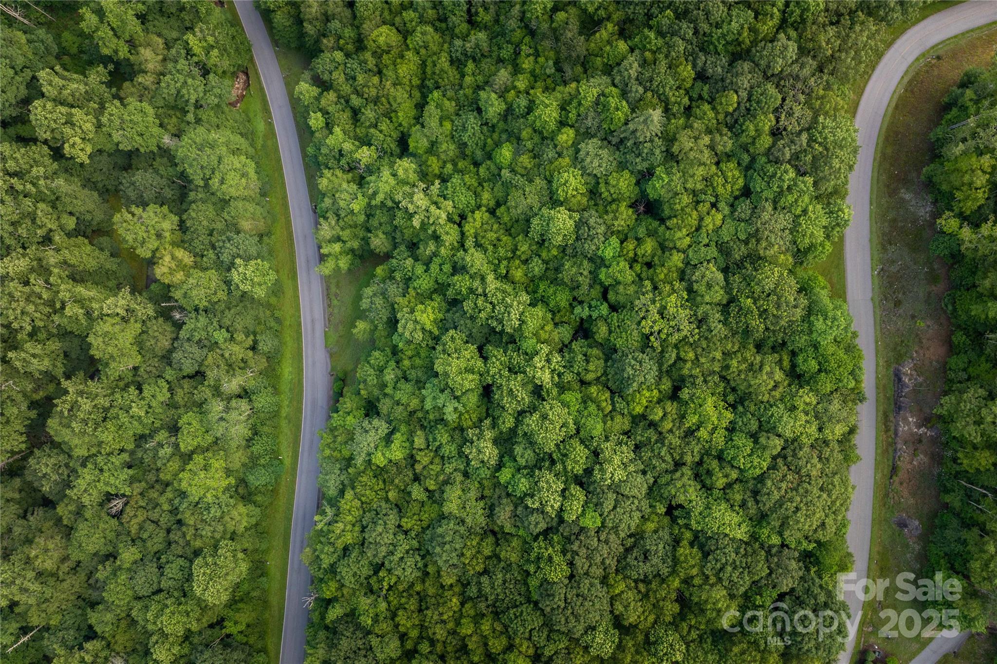 Tbd Lot 107 Firethorn Trail 107 Property Photo 3