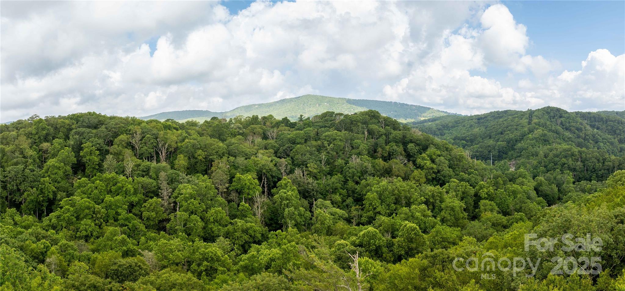 Tbd Lot 107 Firethorn Trail 107 Property Photo 9